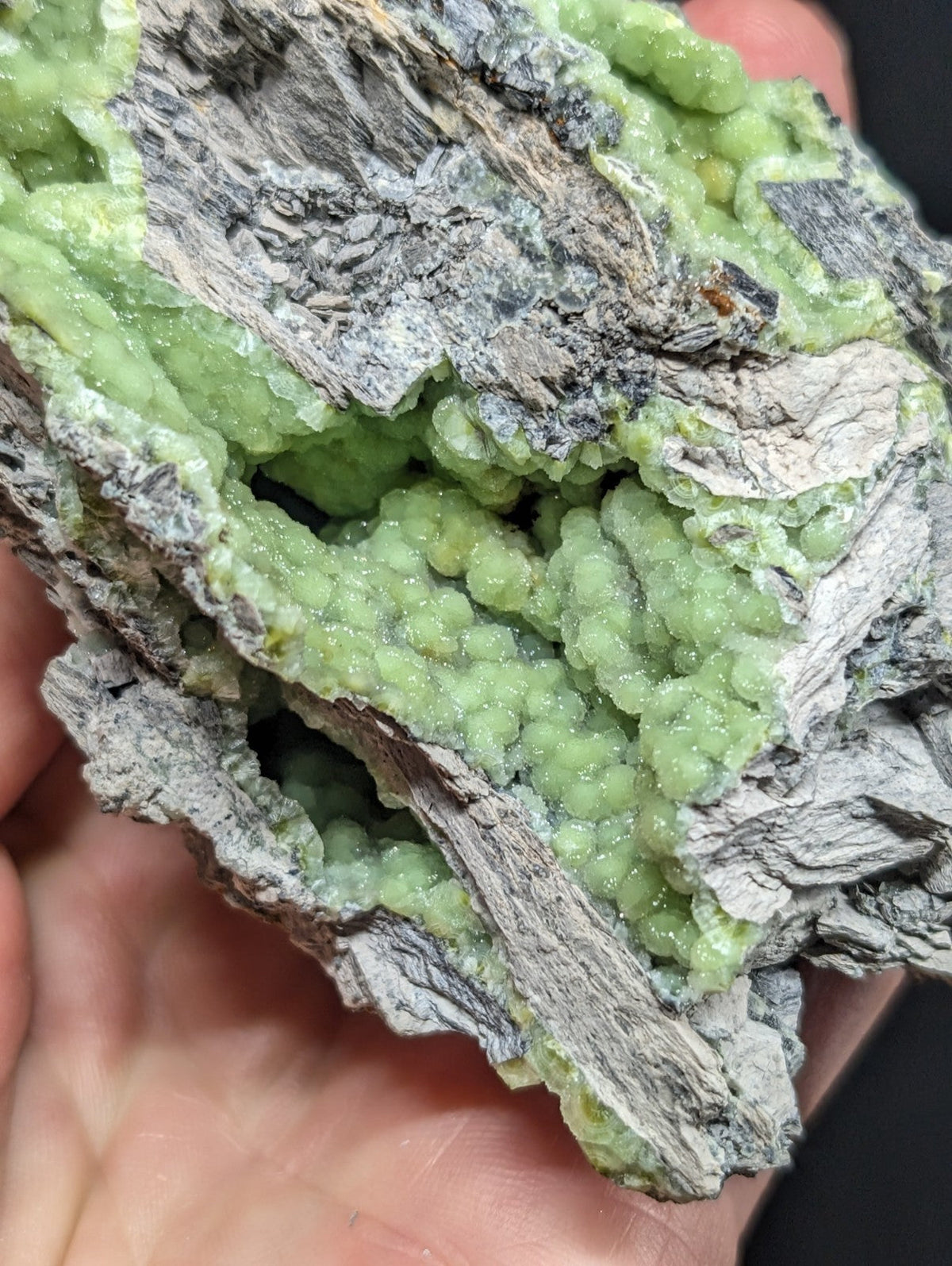A hand holds a striking green mineral specimen with bead-like crystals growing from a rough, grayish rock matrix.