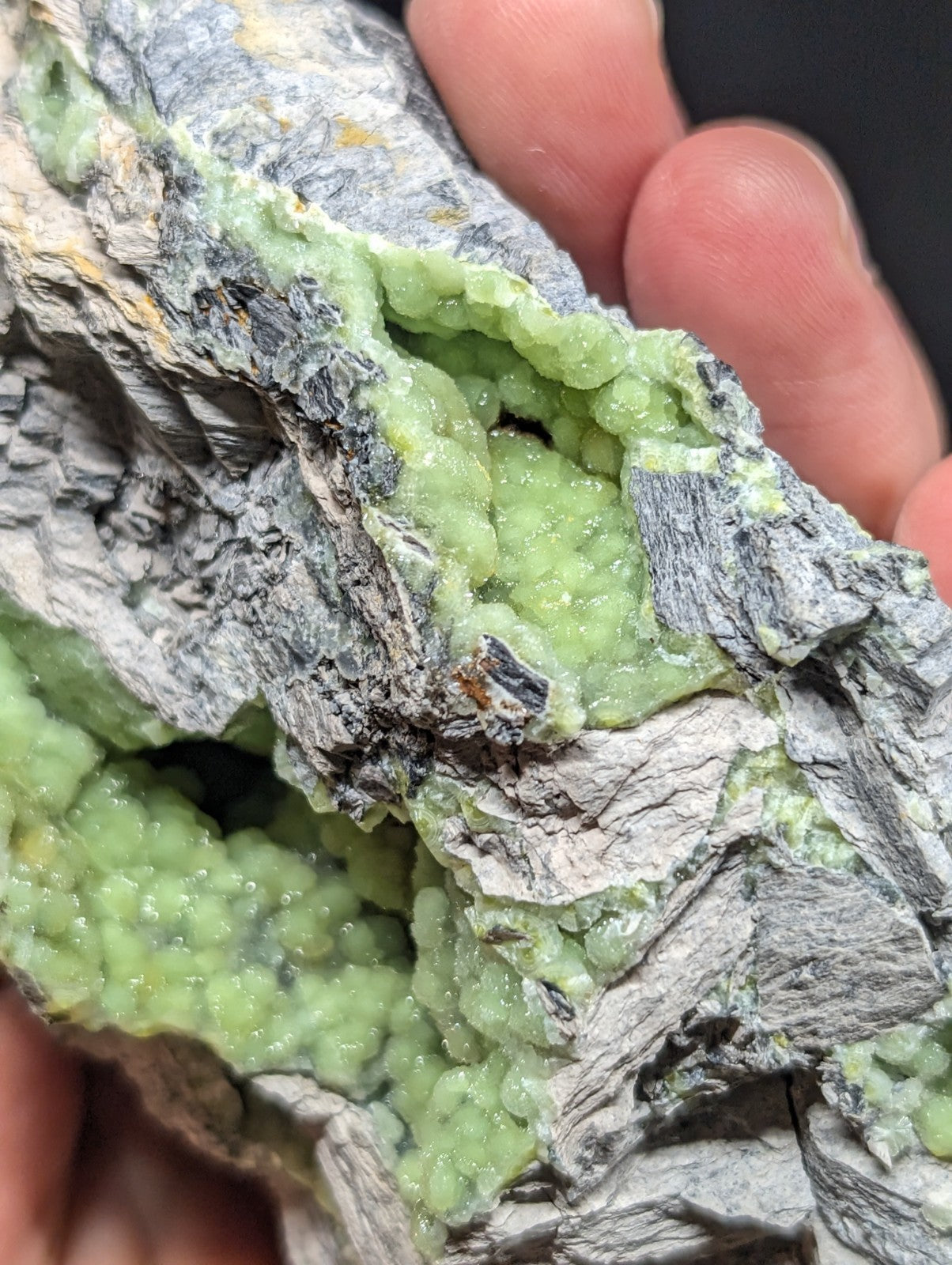 A striking green mineral specimen with a crystalline, bead-like texture embedded in a rugged gray rock matrix.
