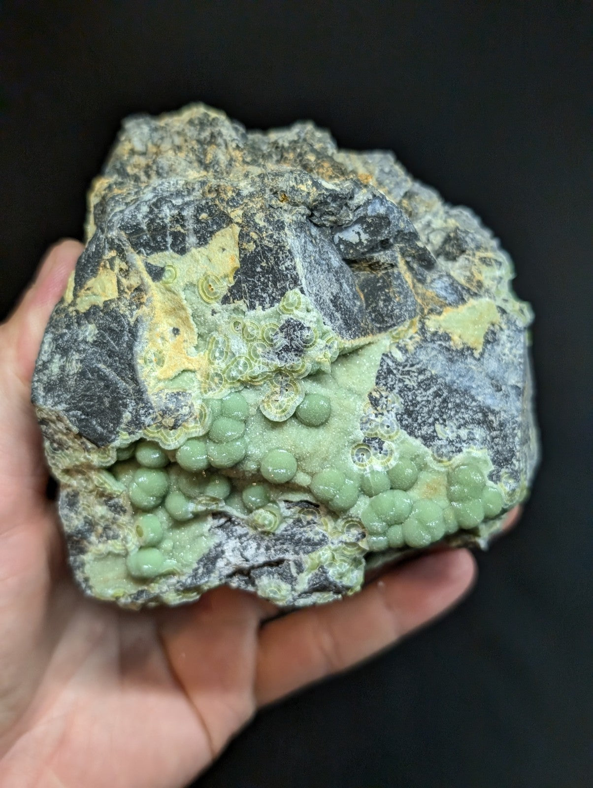 A hand holds a rugged, irregularly shaped mineral specimen featuring dark gray rock with patches of yellow and light green veining, showcasing clusters of small, round, pale green nodules.