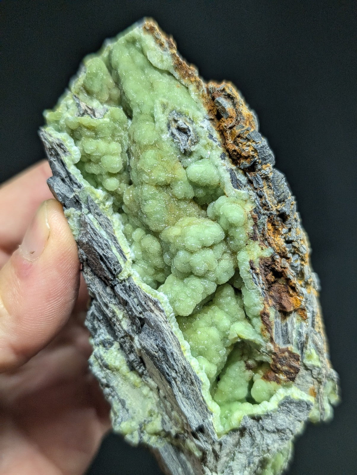 A hand holds a striking green mineral specimen with clustered, bumpy crystals growing from a dark gray and rust-colored rock matrix.