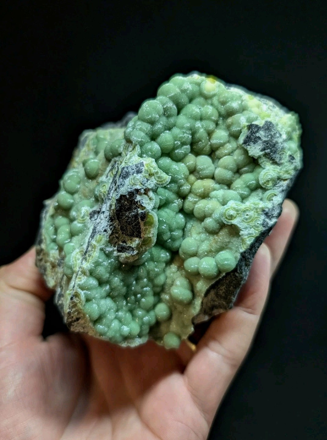 A hand holds a striking green mineral specimen featuring numerous small, rounded nodules clustered together on a rougher rock base.