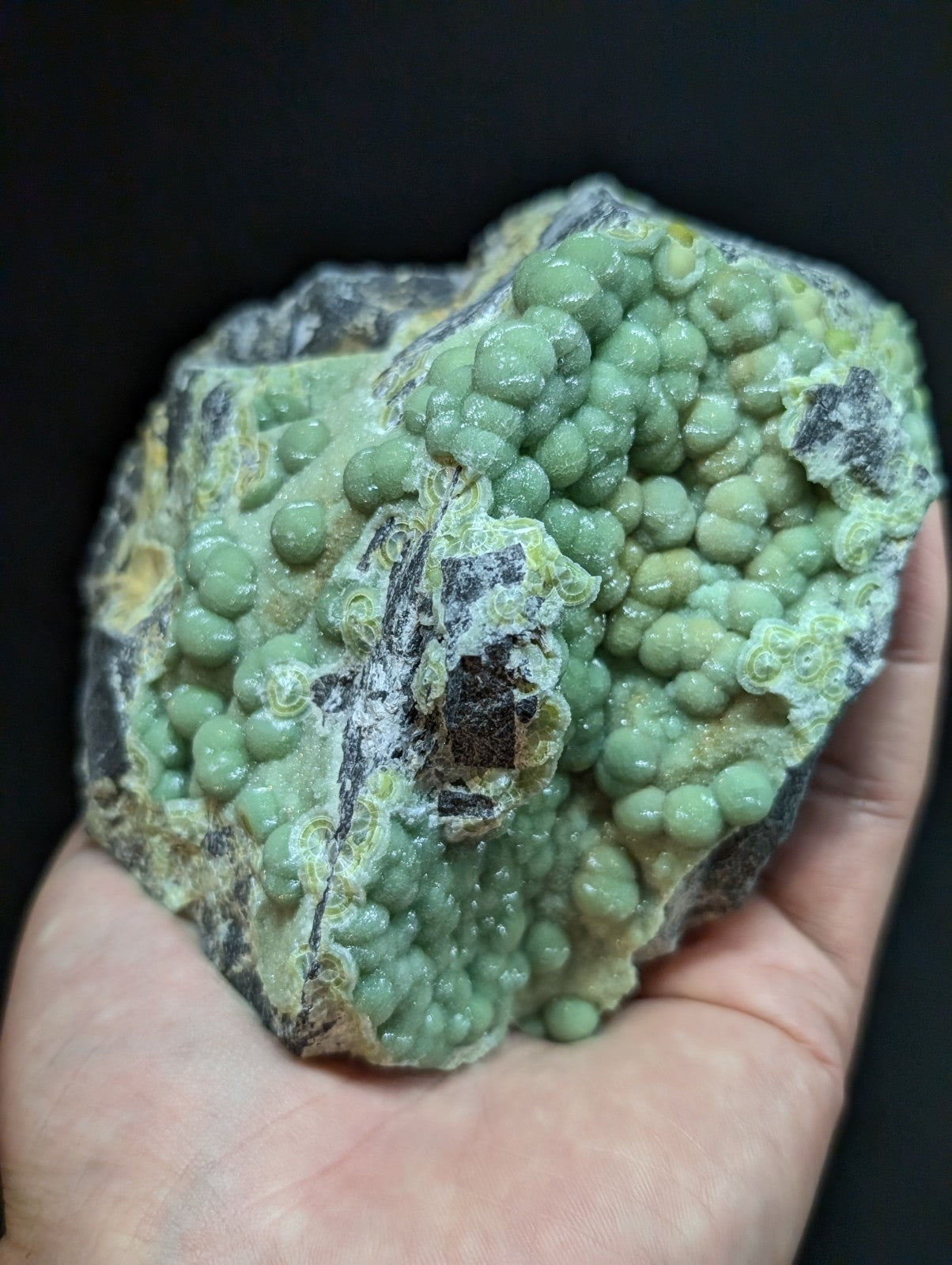 A hand holds a geological specimen featuring clusters of smooth, light green spherical formations embedded in a darker matrix with patches of yellow and gray.