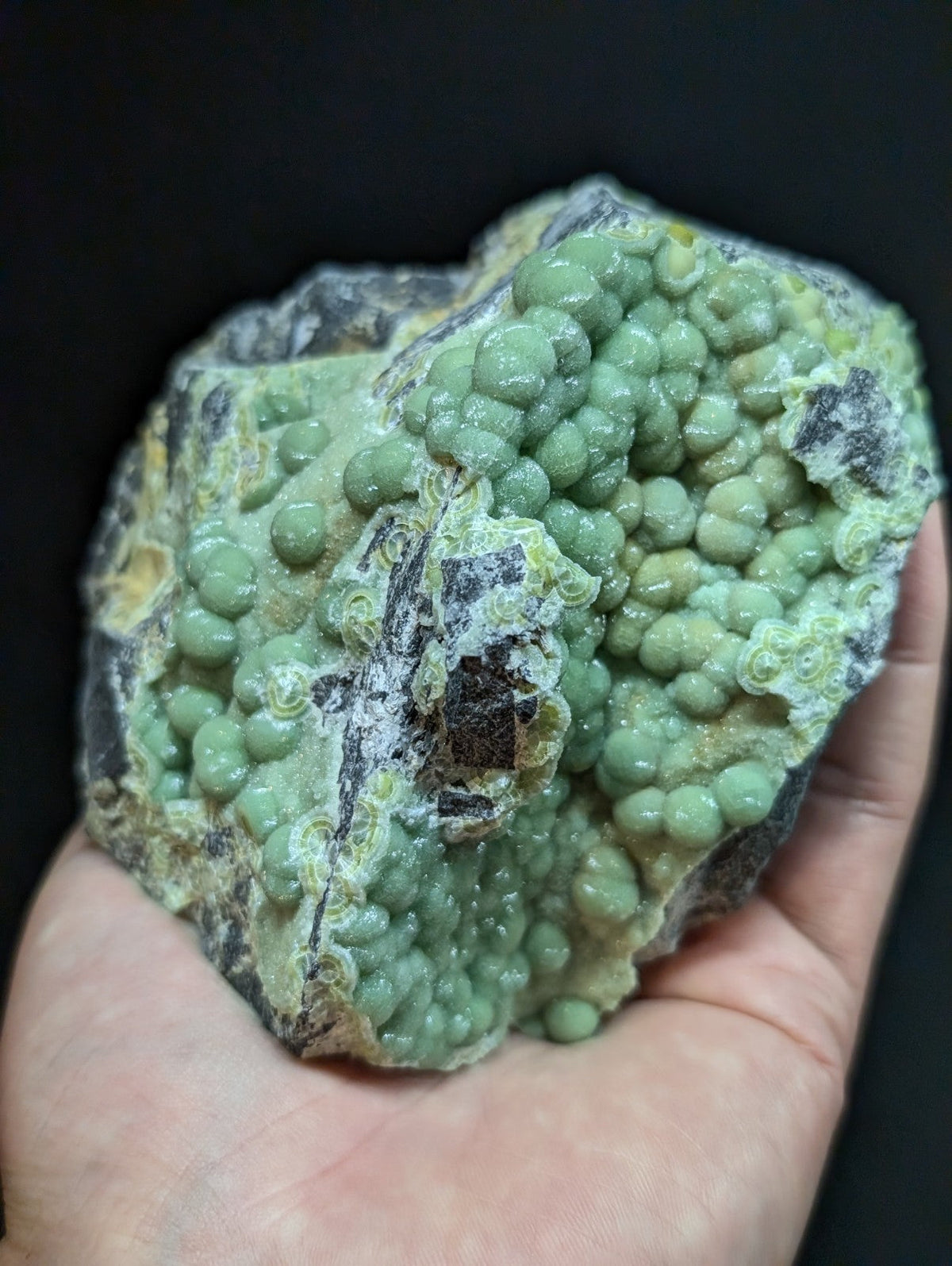A hand holds a geological specimen featuring clusters of smooth, light green spherical formations embedded in a darker matrix with patches of yellow and gray.