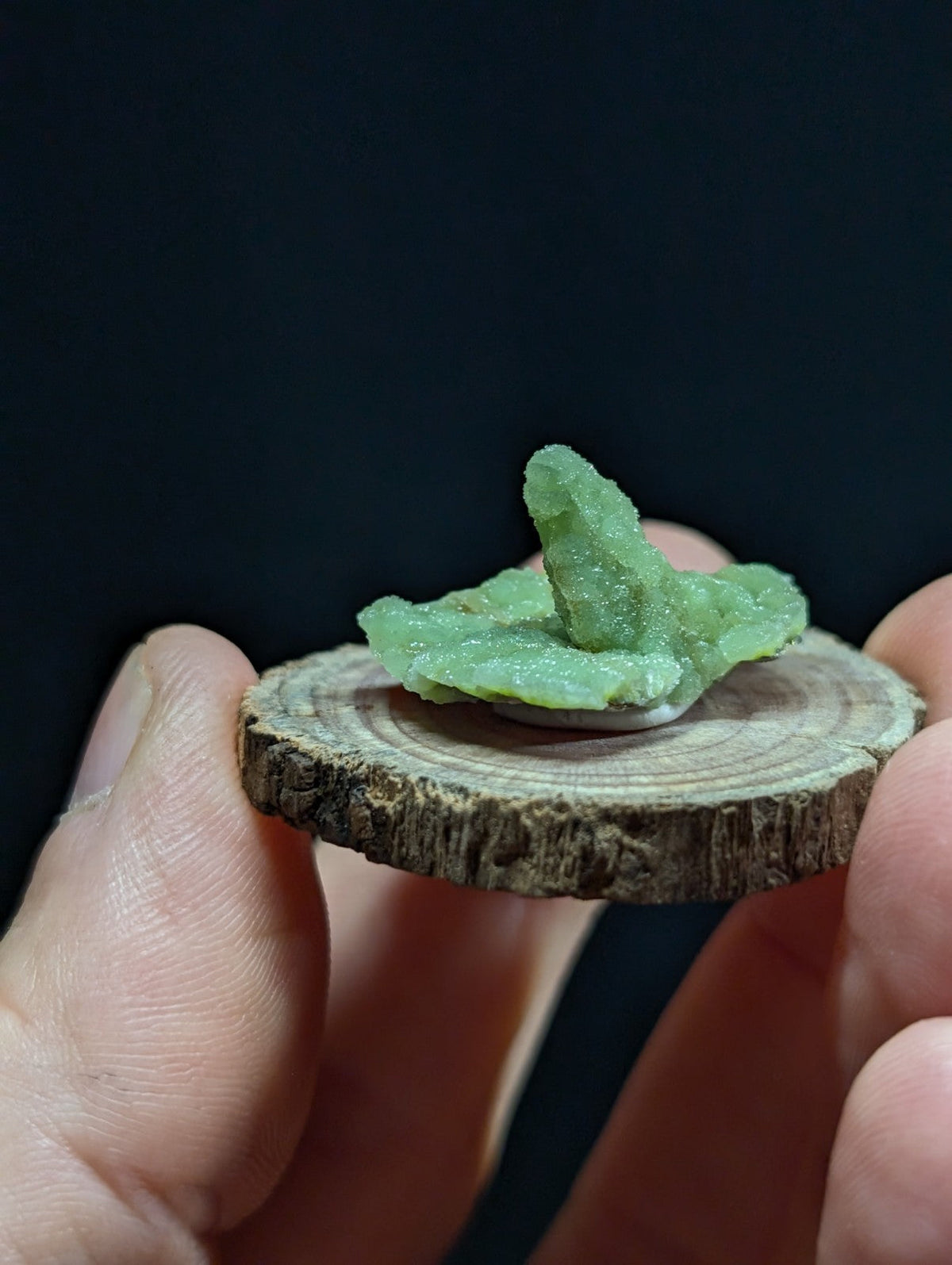 A translucent green jadeite crystal cluster resting on a circular wooden slice.