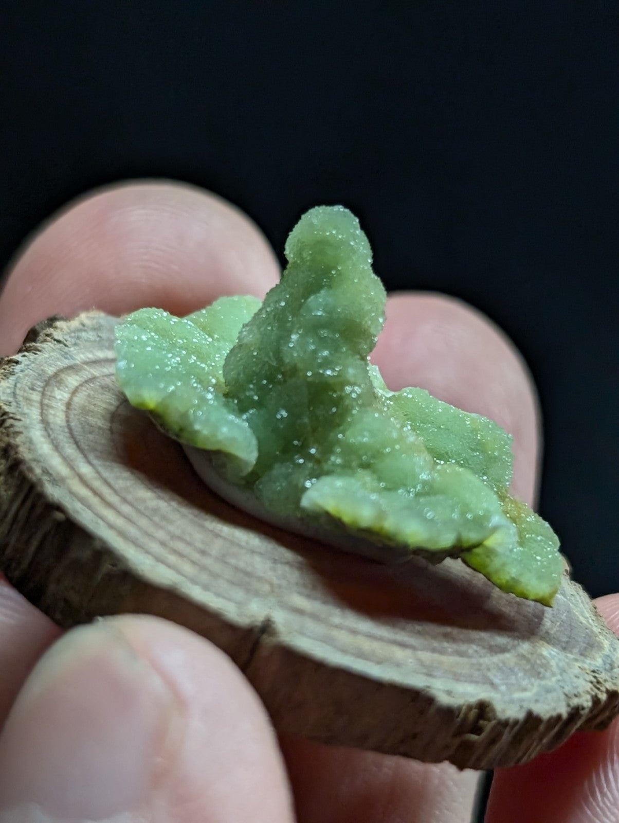 A translucent green mineral specimen with a crystalline, jagged texture rests on a circular wooden slice.