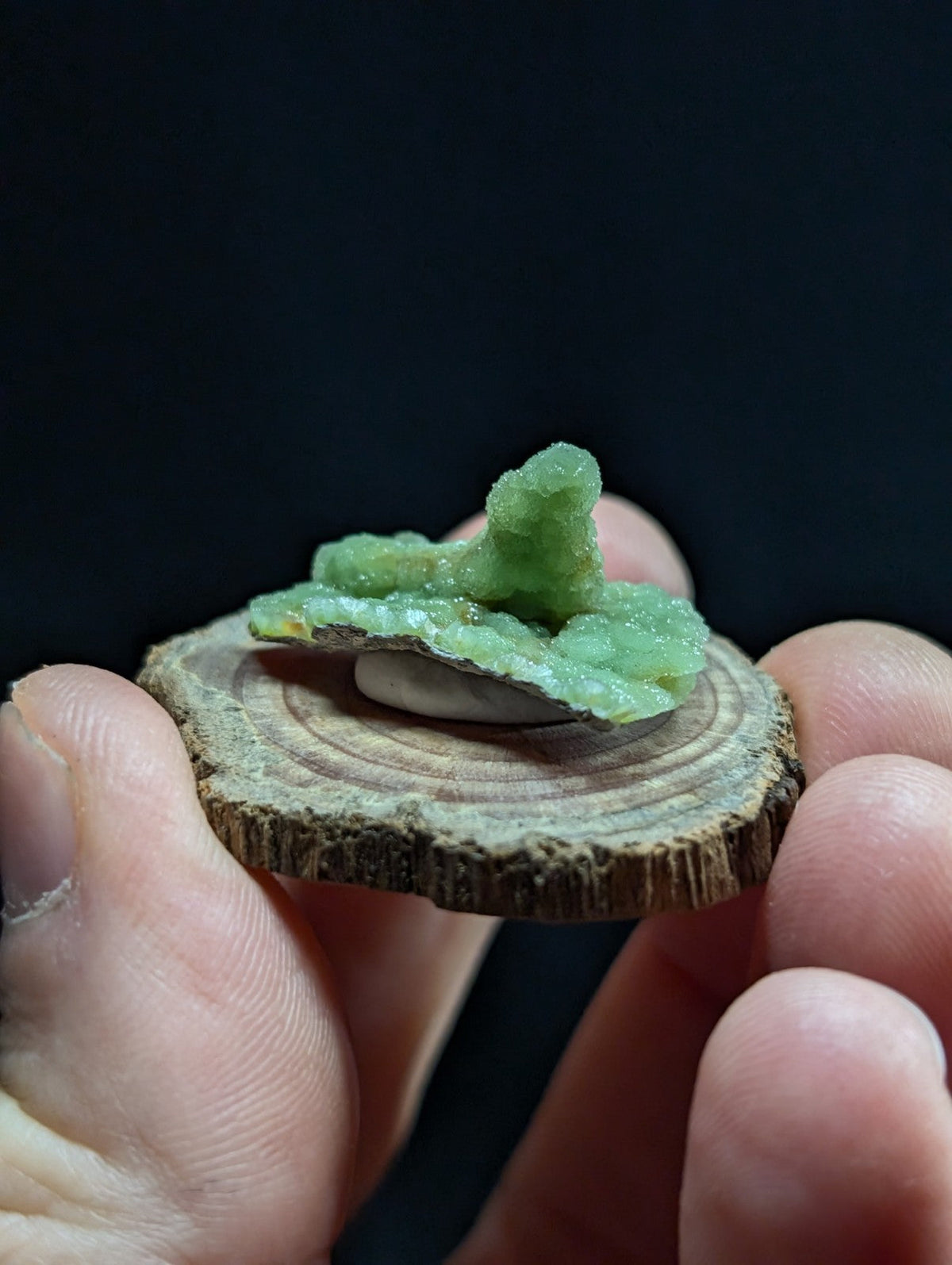 A delicate, translucent green mineral specimen with a crystalline structure rests atop a circular wooden slice.