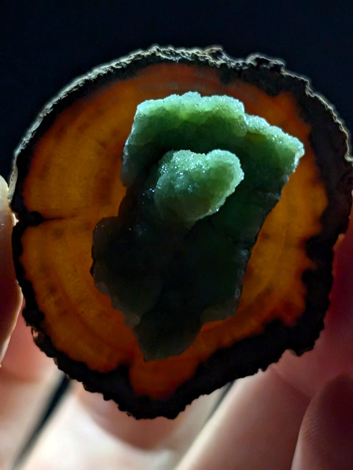 A vibrant green, crystalline mineral specimen nestled within a circular slice of amber-hued wood.
