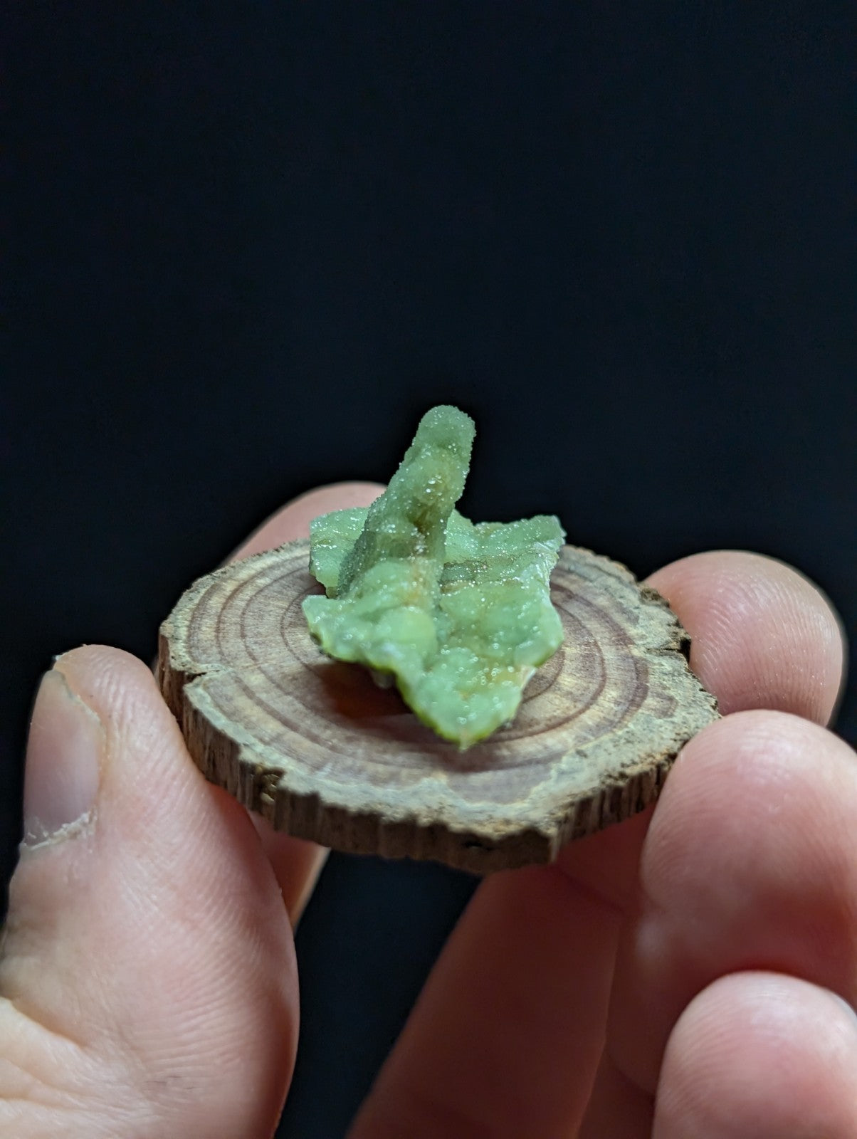 A translucent green mineral specimen with a crystalline, branching structure rests on a circular wooden slice.