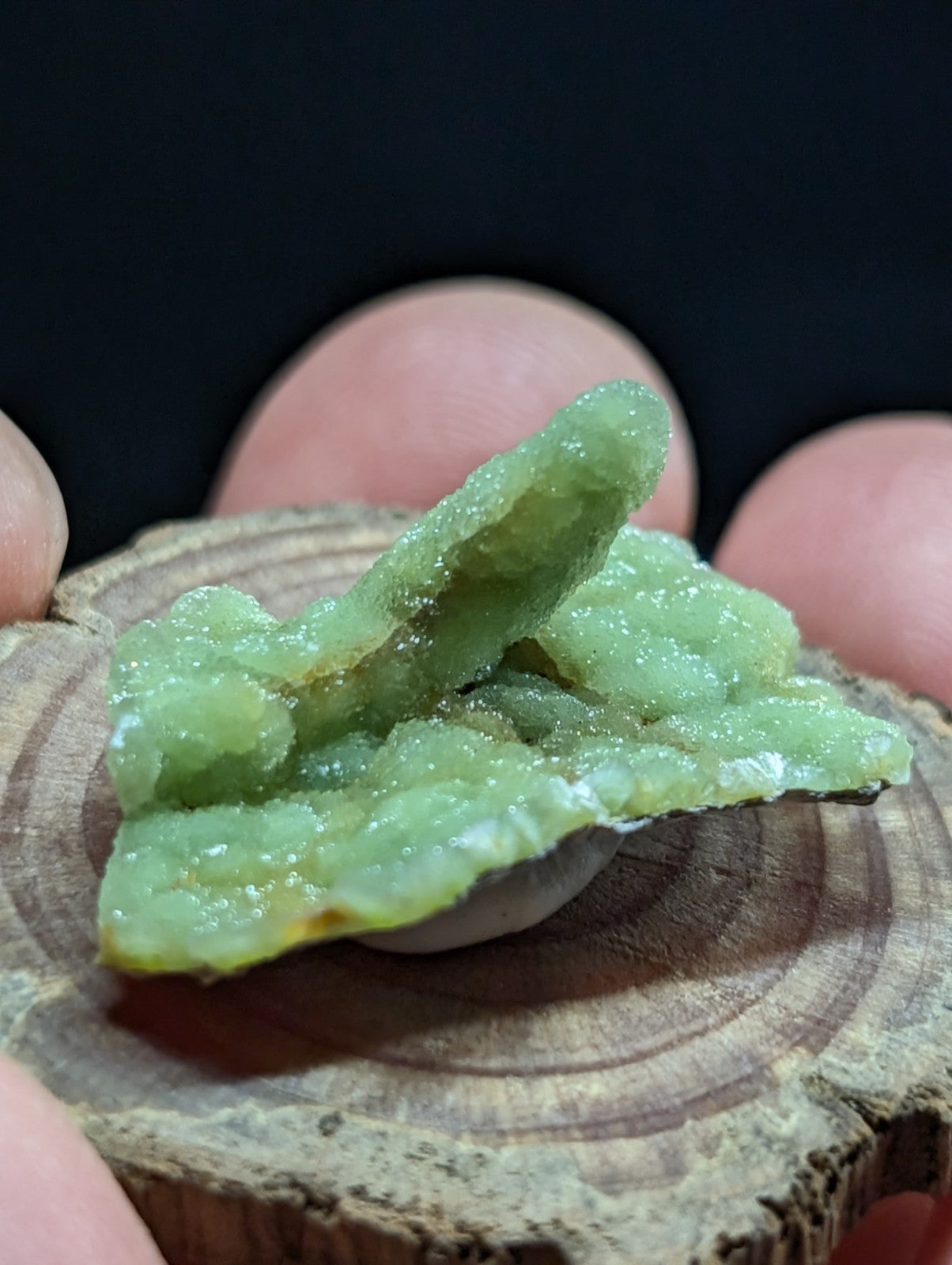 A translucent green mineral specimen with a crystalline, textured surface and subtle yellowish undertones.