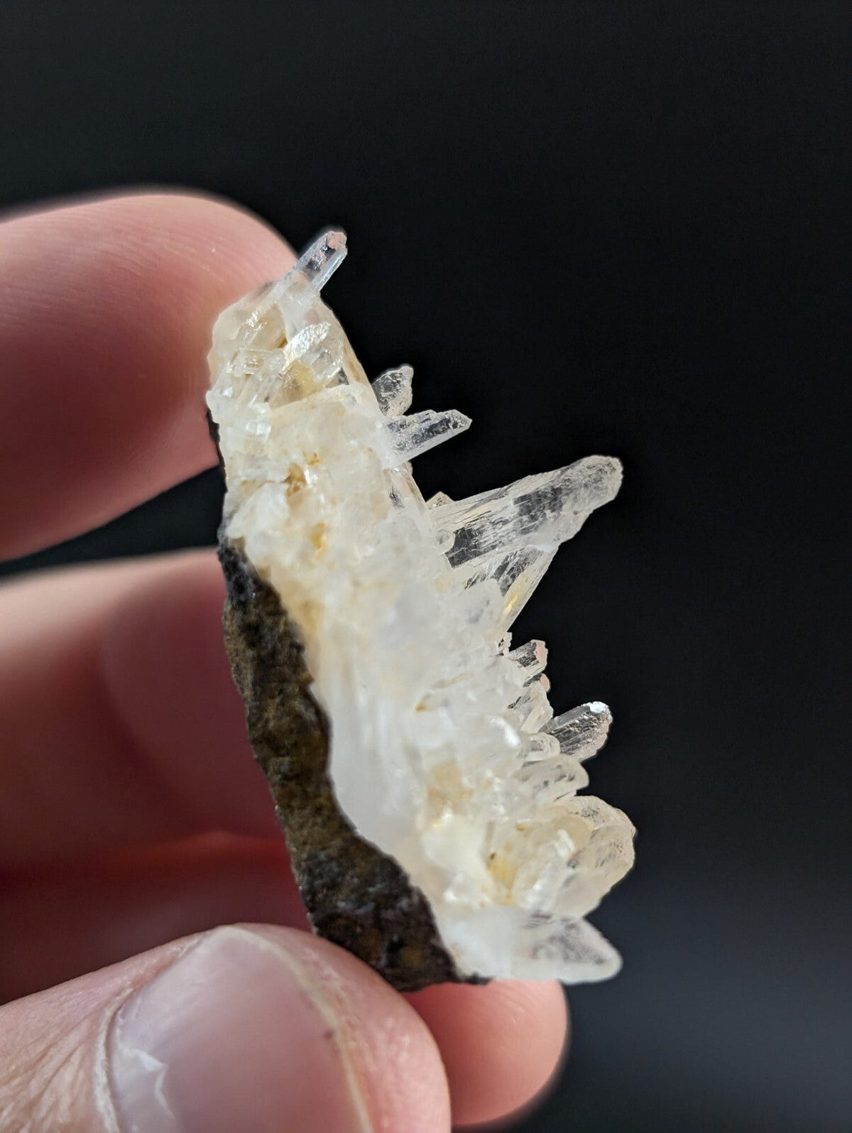 A translucent white quartz crystal cluster with sharp, pointed facets and a dark mineral base.