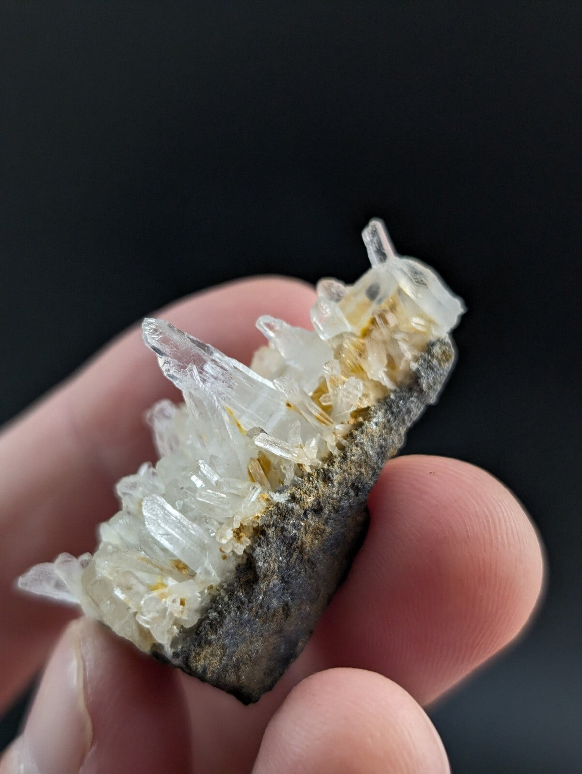 A translucent white quartz crystal cluster growing from a dark gray rock base.