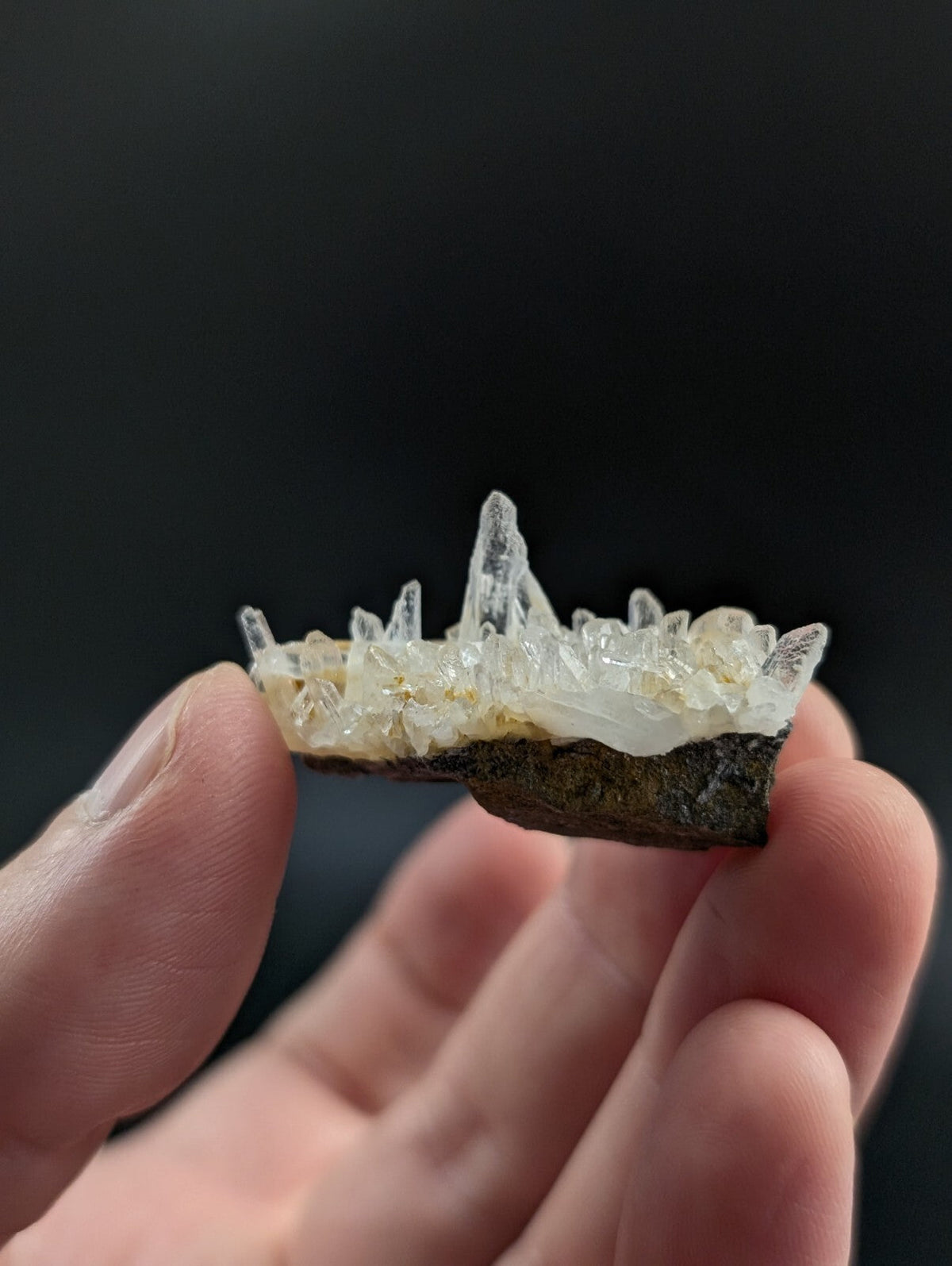 A translucent white quartz crystal cluster growing from a dark mineral base.