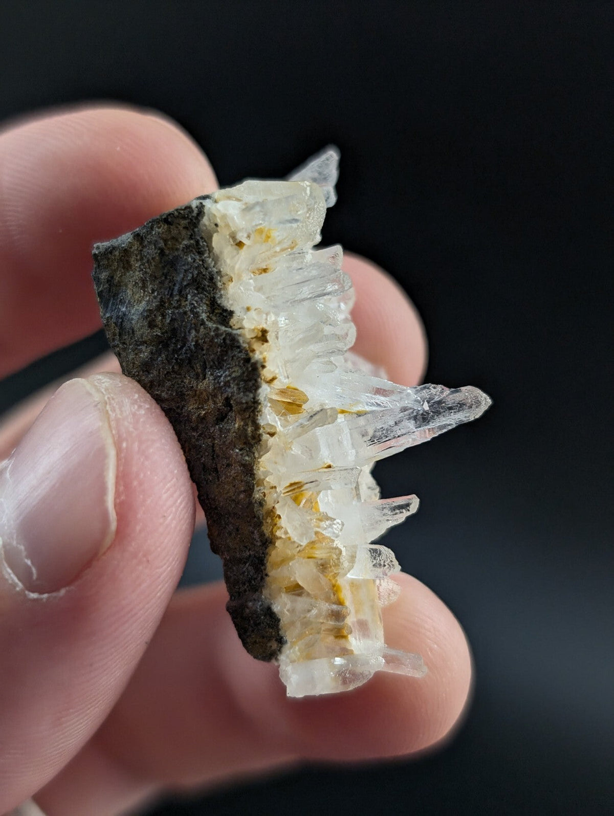 A translucent quartz crystal cluster growing from a dark, rough matrix.