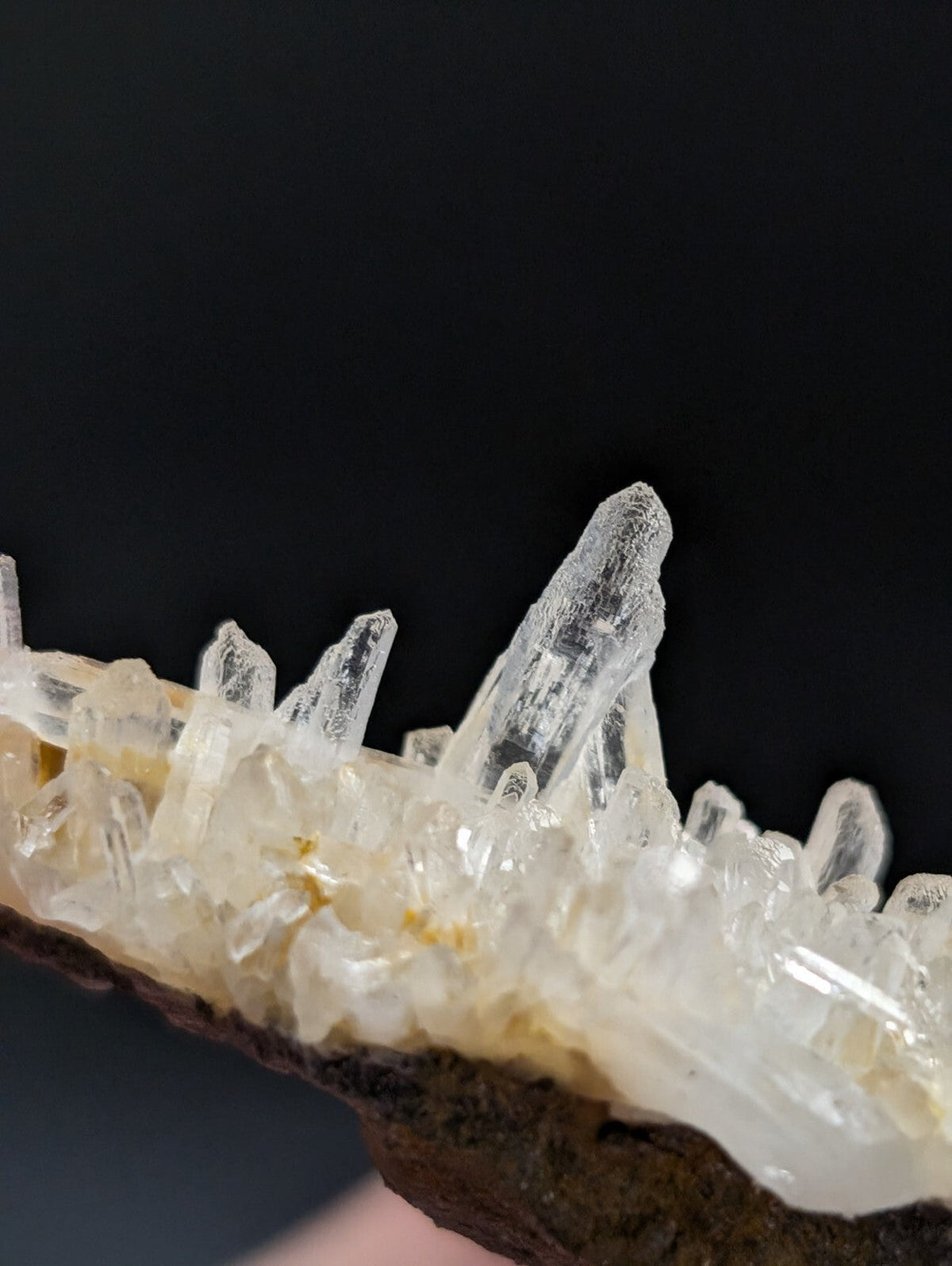 A translucent, crystalline quartz formation with sharp, pointed spikes emerging from a dark brown rock base.