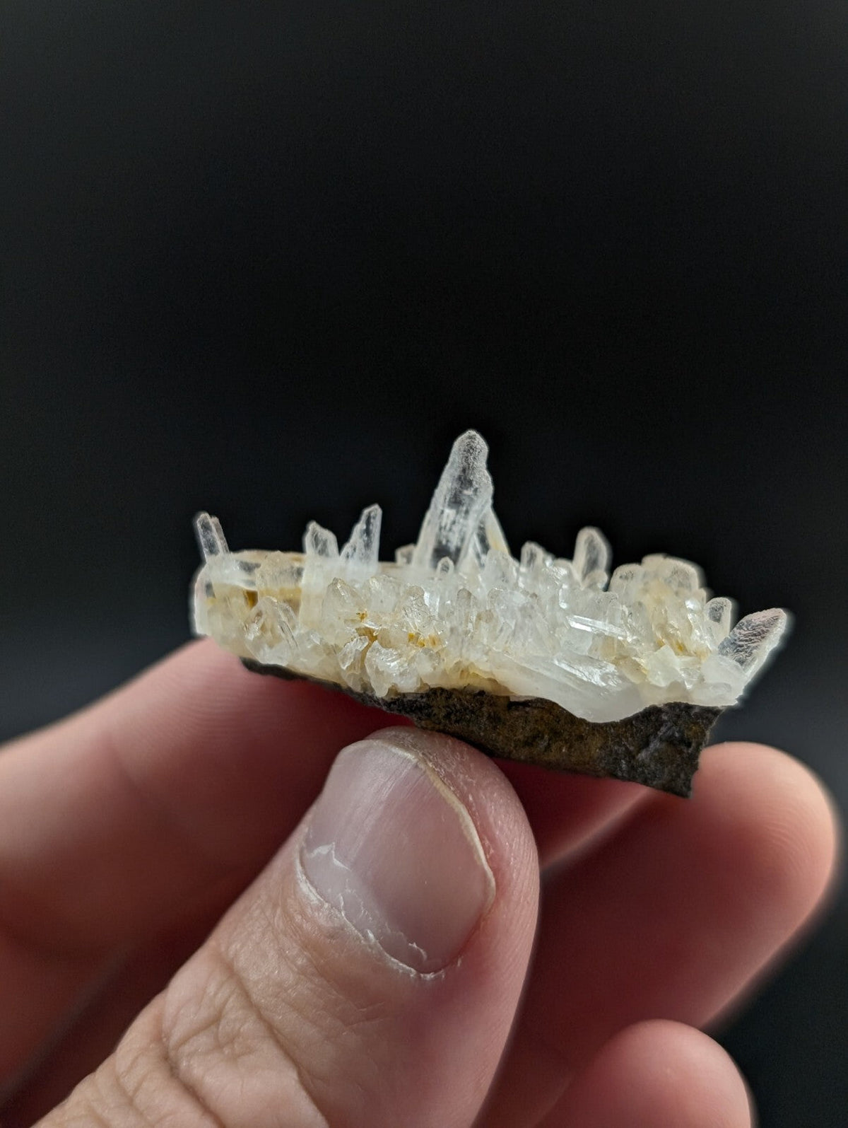 A translucent, pale yellow crystal cluster with sharp, pointed formations emerging from a dark mineral base.