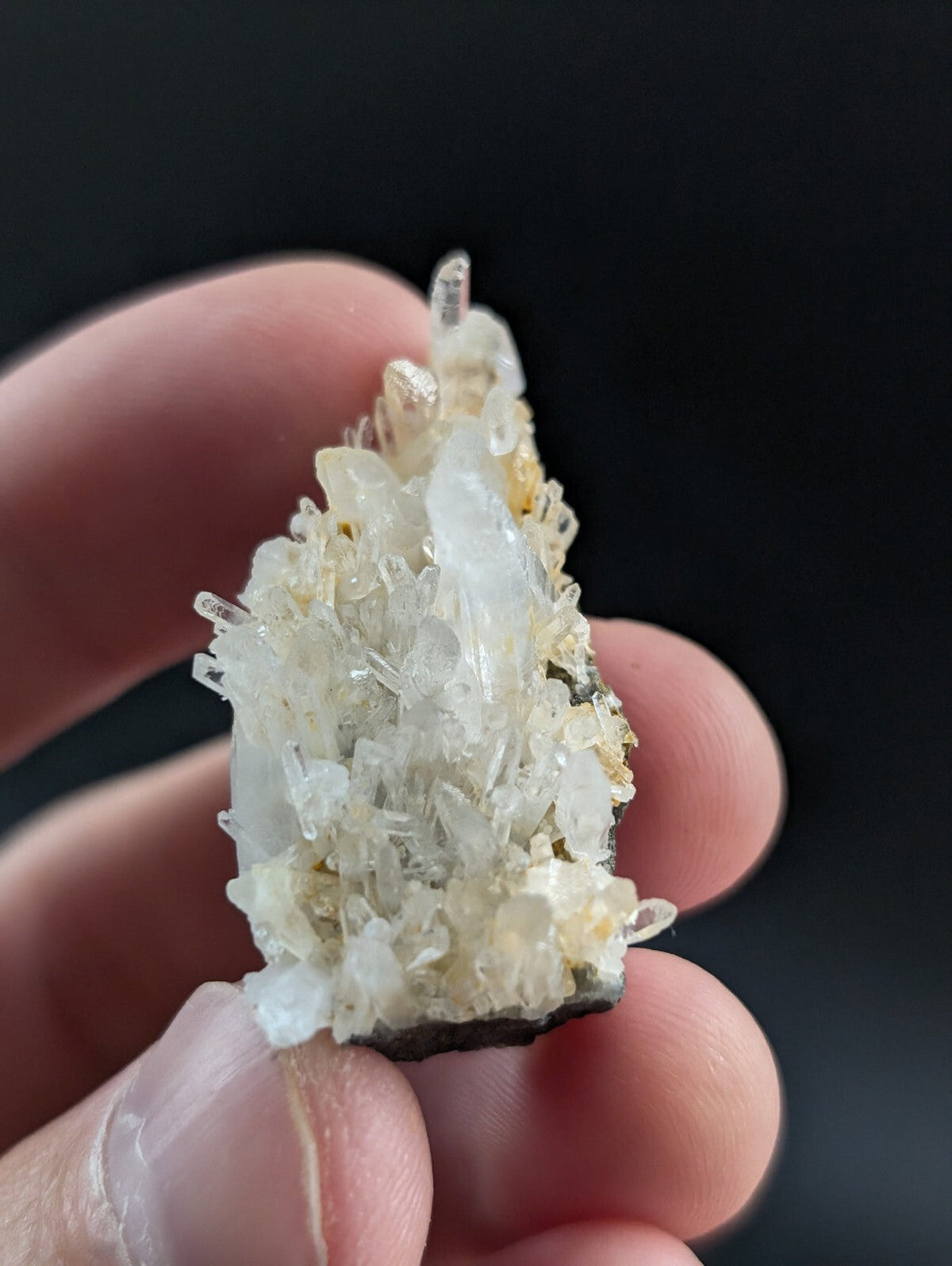 A translucent white quartz crystal cluster with delicate, pointed formations and subtle golden-yellow inclusions.
