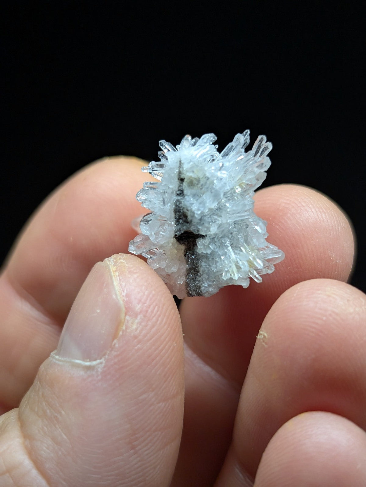 A delicate, translucent blue crystal cluster with sharp, needle-like formations and a dark central core.