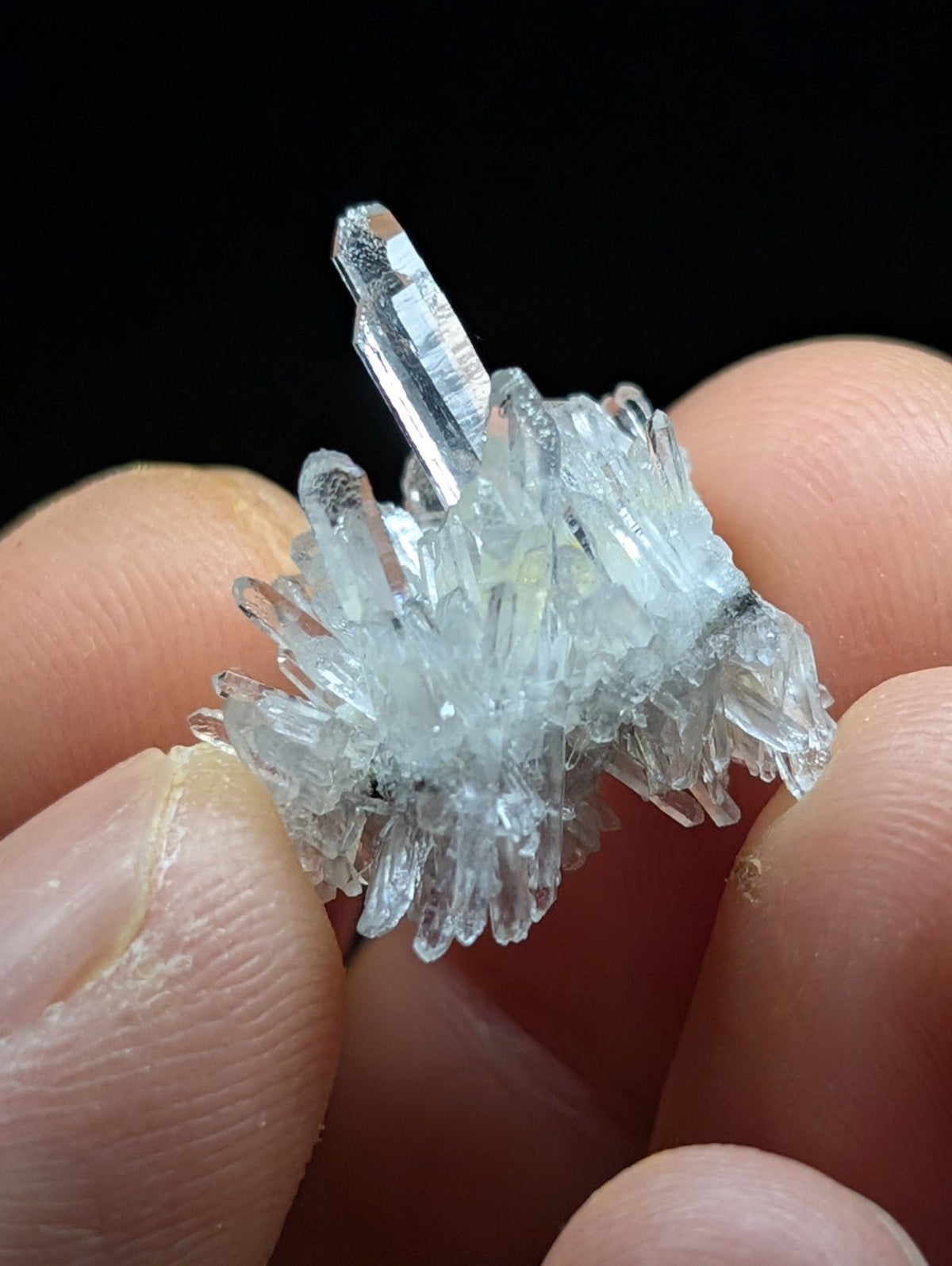A translucent, crystalline quartz cluster with sharp, faceted points and a delicate, branching structure.