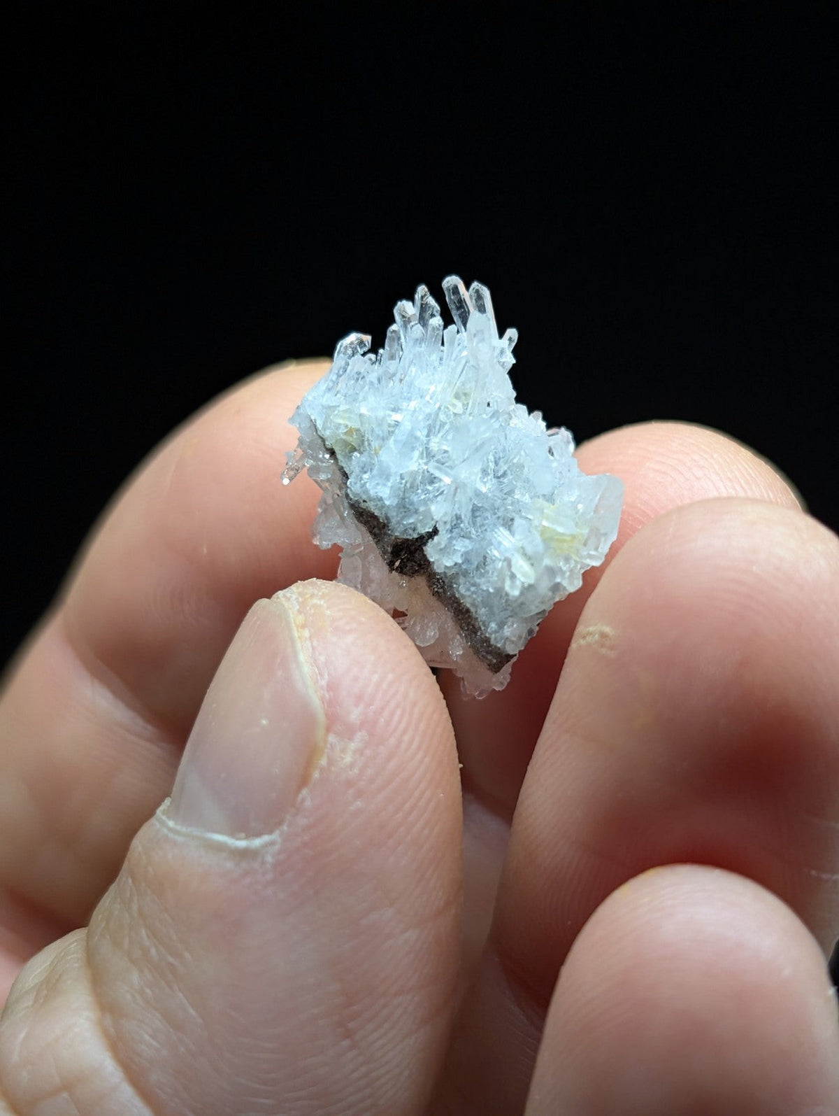 A delicate cluster of translucent, pale blue crystals with sharp, pointed facets.