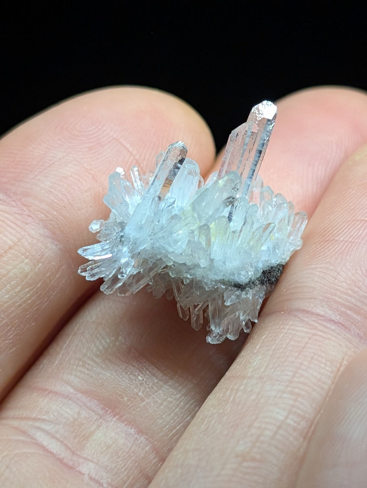 A delicate cluster of translucent quartz crystals, featuring sharp, glassy points and a pale blue tint.