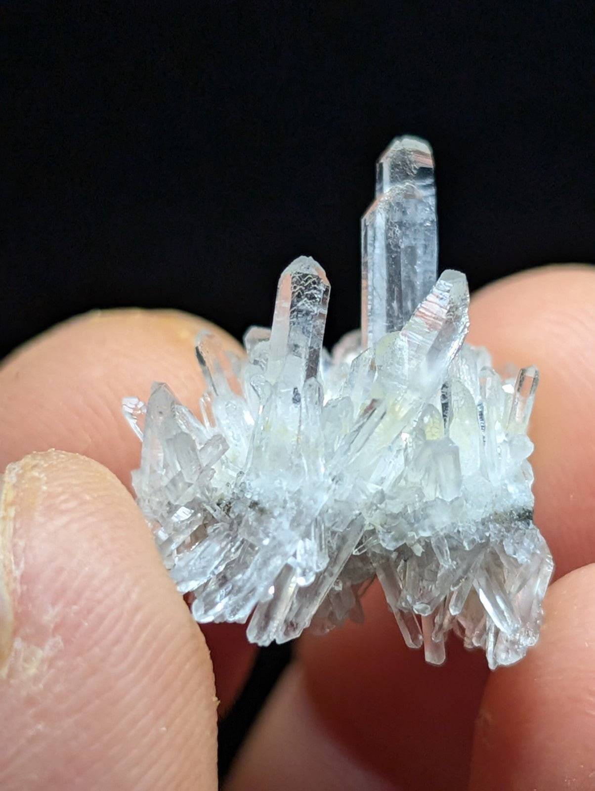 A cluster of clear, translucent quartz crystals with sharp, pointed tips and a delicate, crystalline structure.