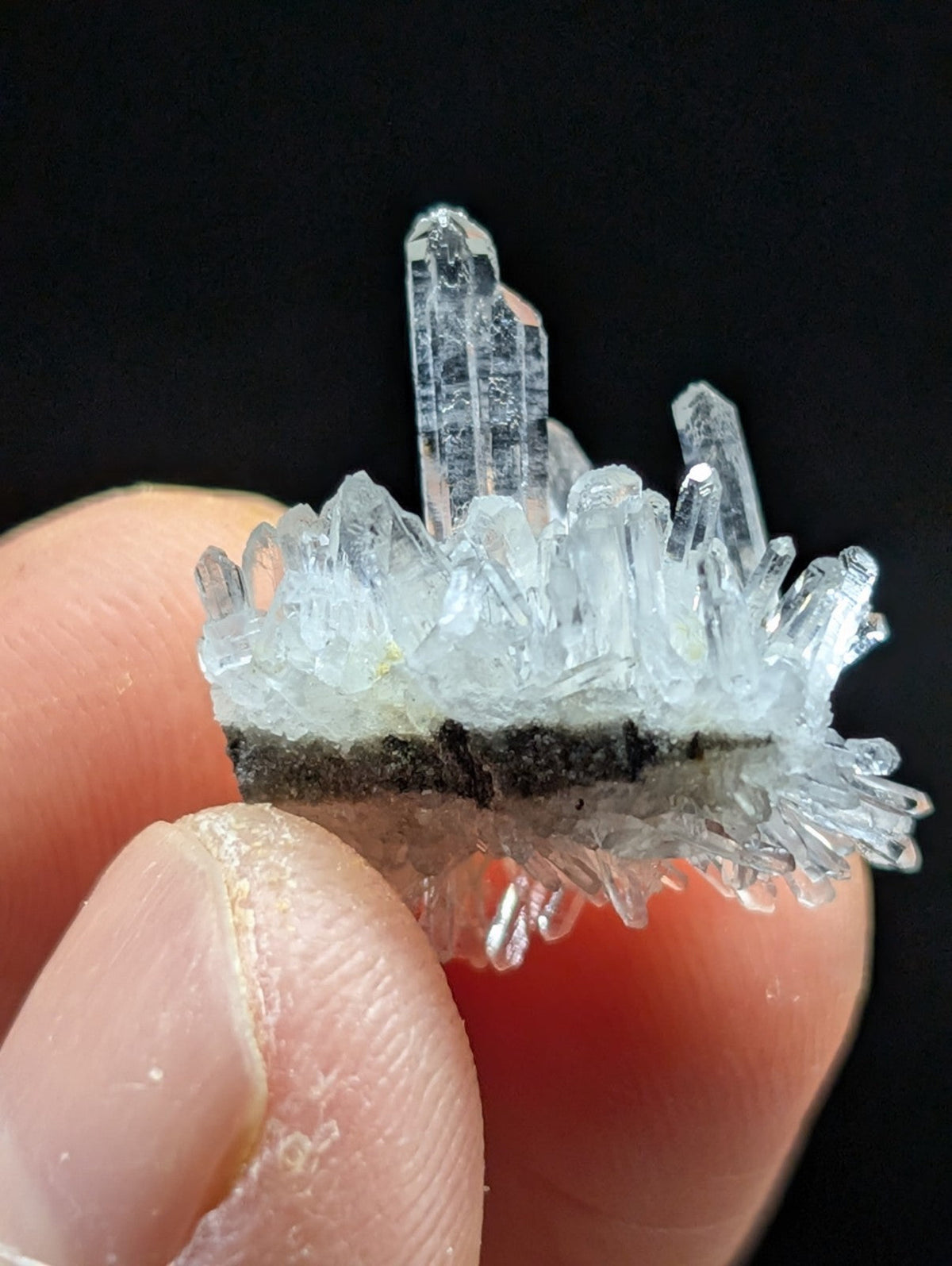 A clear quartz crystal cluster with sharp, translucent points and a dark base.