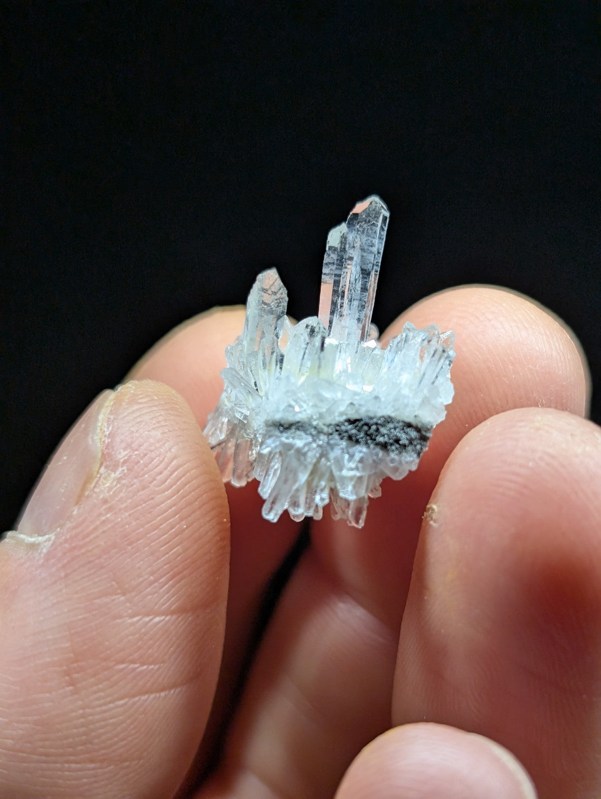 A translucent quartz crystal cluster with clear, pointed prisms and a frosted base.