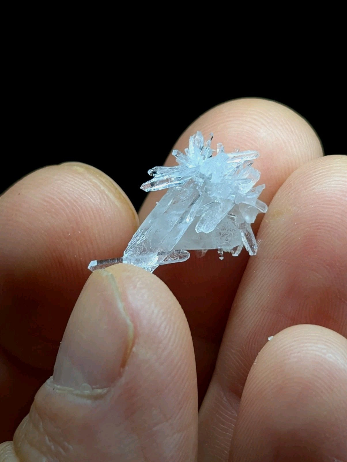 A delicate, translucent blue crystal cluster with sharp, interlocking facets held gently between fingers.