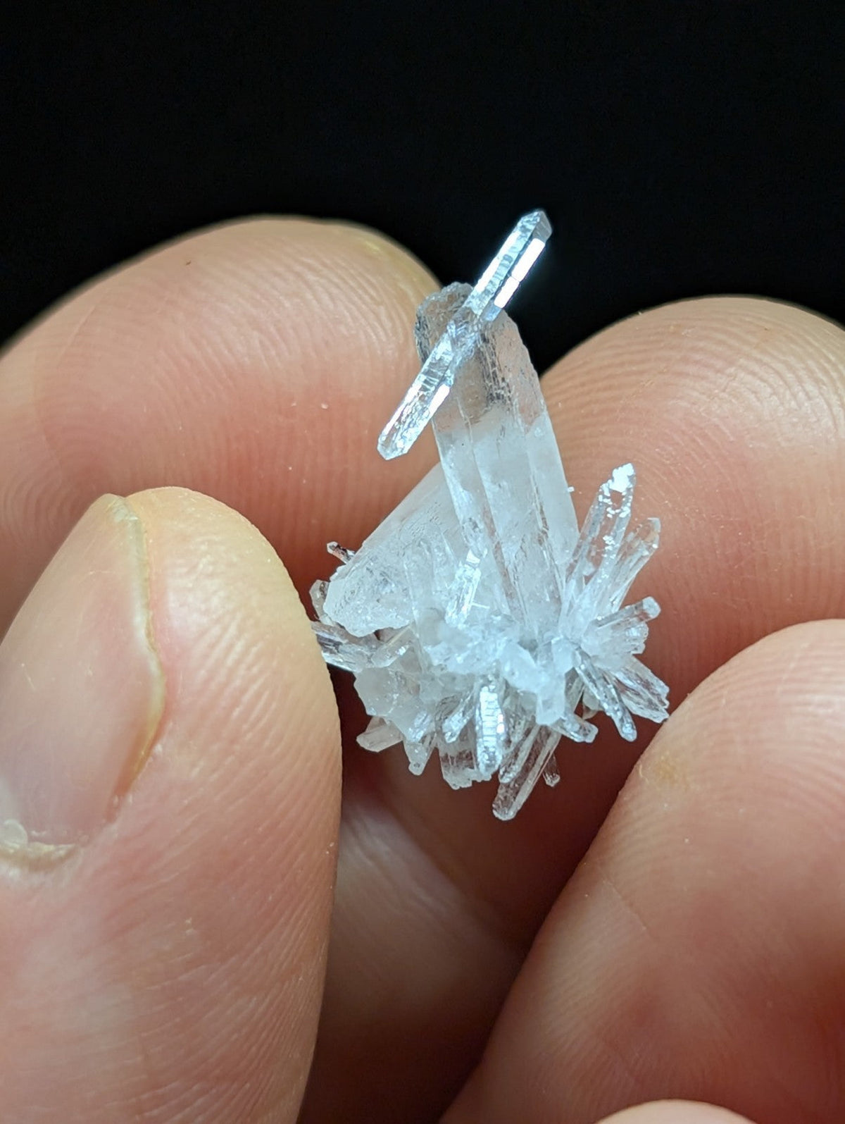 A clear, translucent quartz crystal cluster with sharp, angular facets and a delicate branching structure.