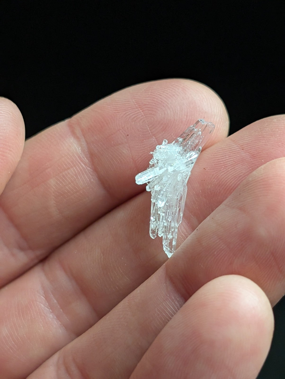 A translucent, crystalline mineral specimen with sharp, angular facets and a delicate, branching structure.