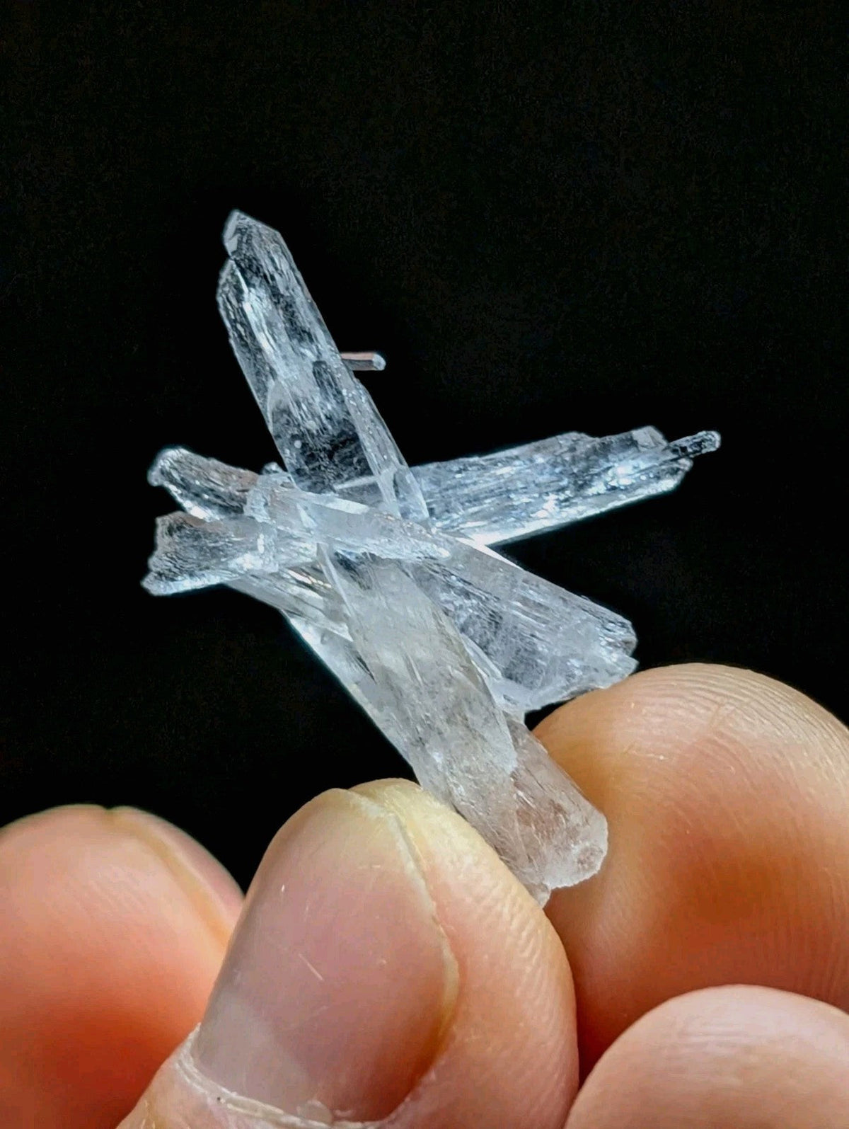 A clear, translucent crystal cluster with sharp, angular facets and a delicate, branching structure.