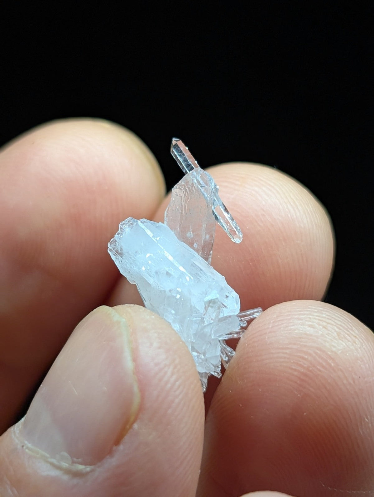 A translucent light blue crystal cluster with sharp, faceted edges and a delicate, branching structure.