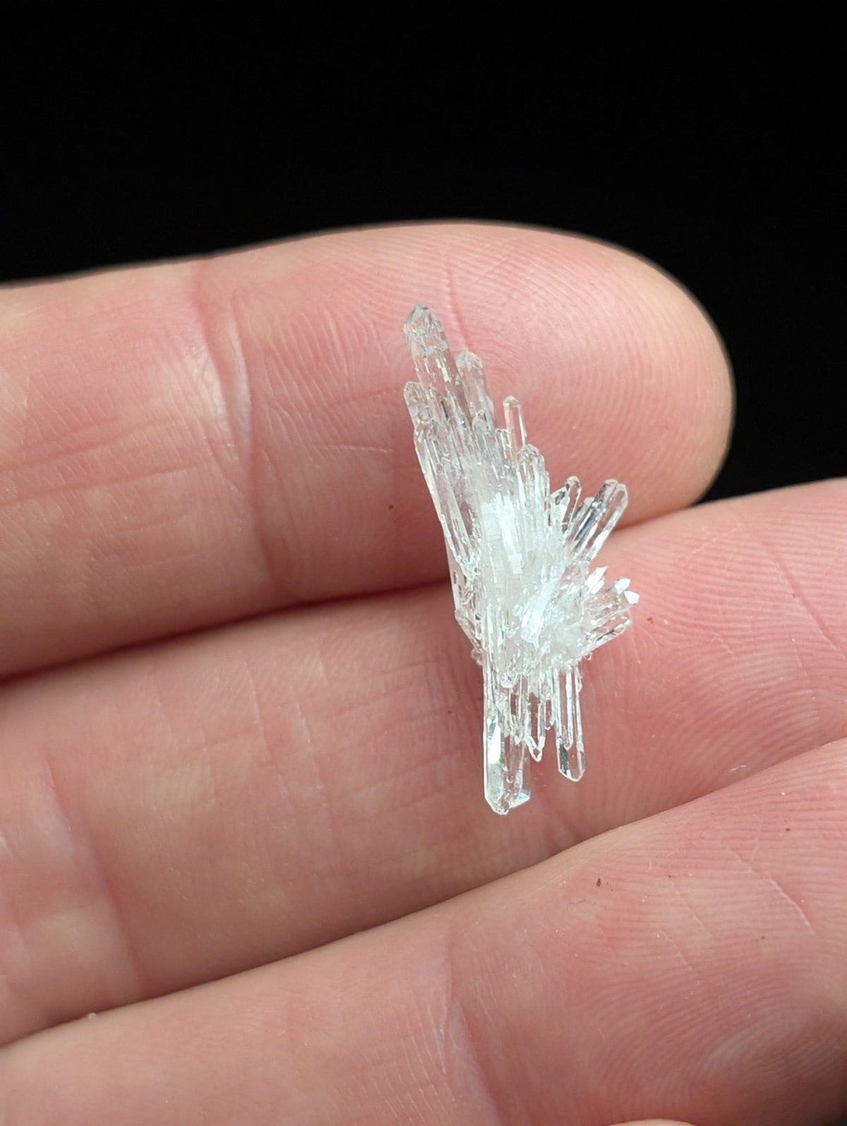 A delicate, transparent quartz crystal cluster with sharp, faceted points and a natural, branching formation.