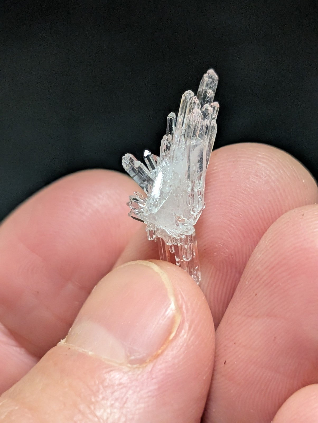 A clear, translucent crystal cluster with sharp, pointed facets and a delicate, branching structure.