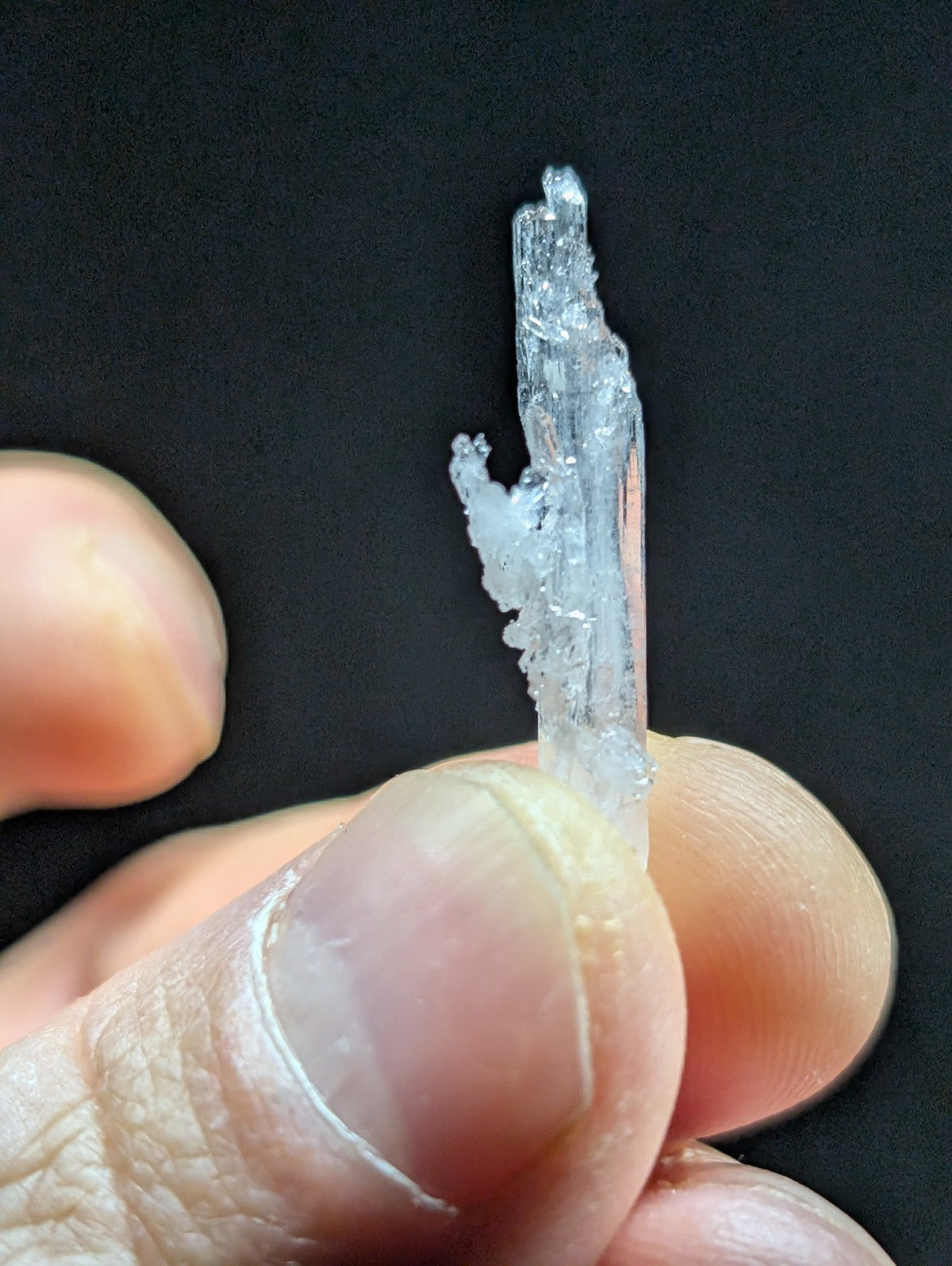 A translucent, crystalline mineral specimen with a jagged, branching structure and clear facets.