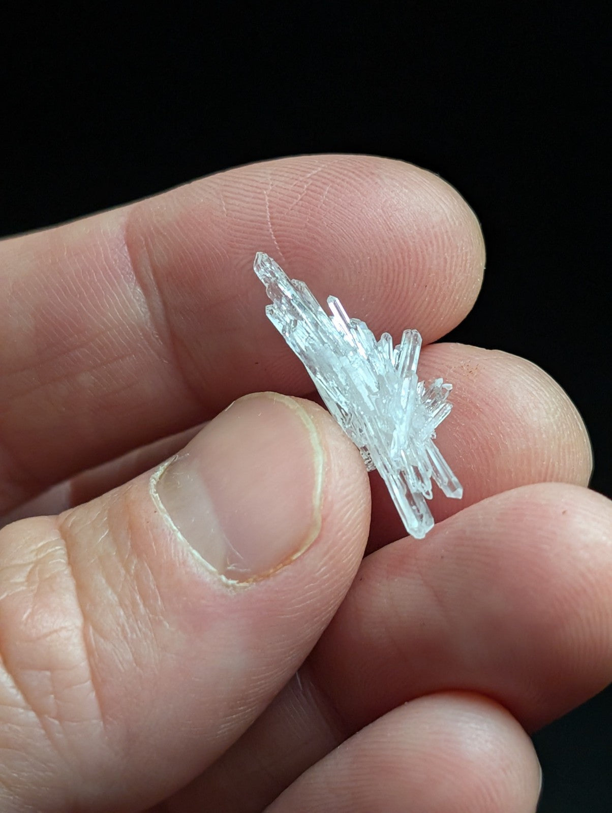 A clear, translucent quartz crystal cluster with multiple pointed prisms radiating from a central point.
