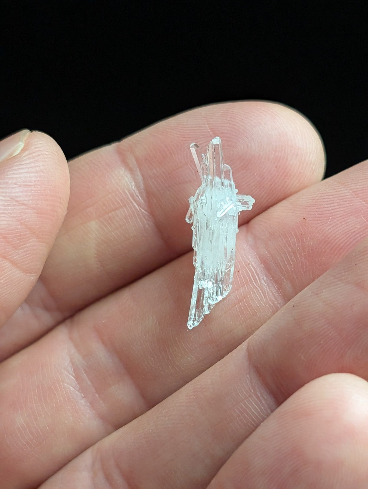 A translucent, crystalline mineral specimen with a delicate, branching structure and subtle internal striations.