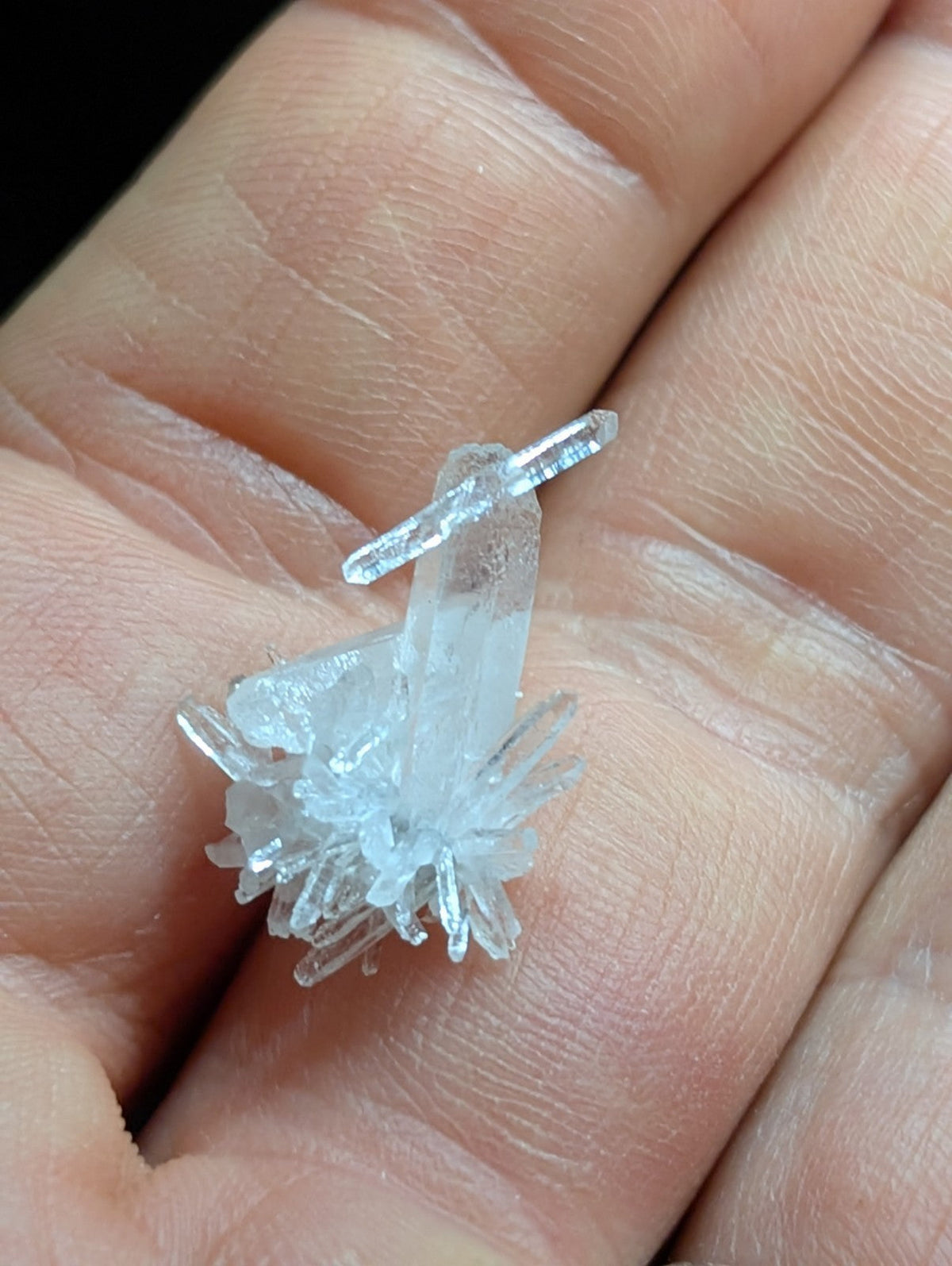 A translucent, clear quartz crystal cluster with sharp, pointed prisms and a delicate, branching structure.