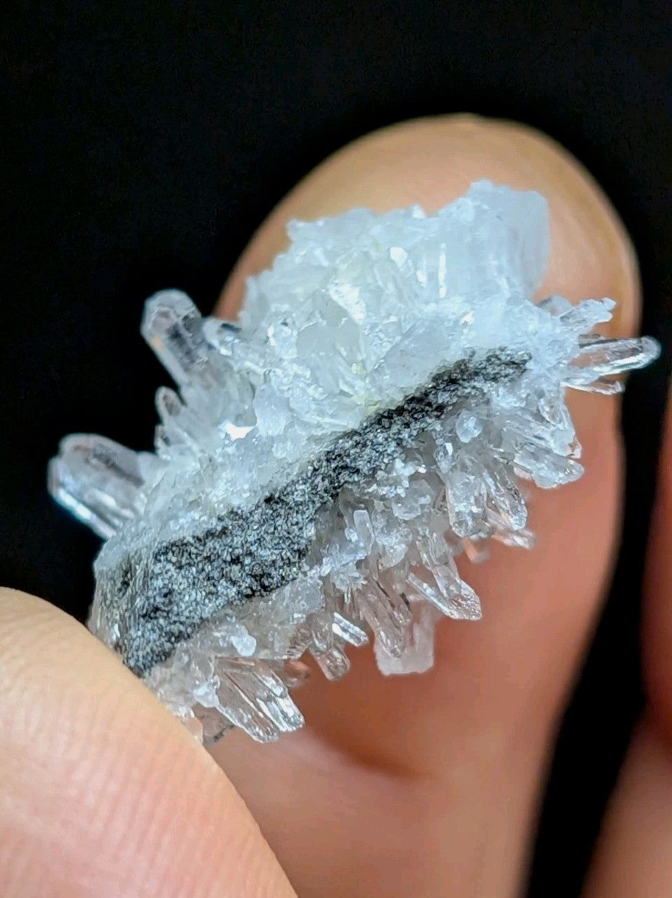 A delicate, translucent crystal cluster with sharp, clear points and a central band of dark gray mineral.