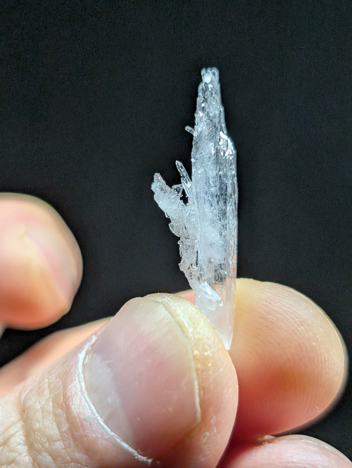 A translucent, crystalline ice shard with jagged edges and a pointed tip.