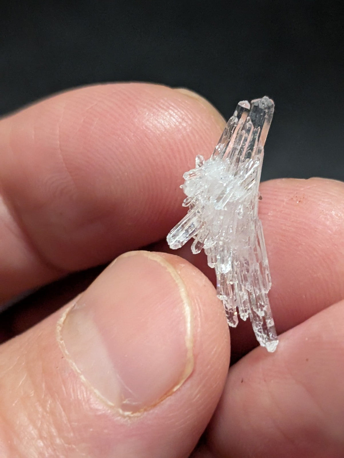 A delicate, transparent quartz crystal cluster with sharp, faceted points and a natural, branching structure.