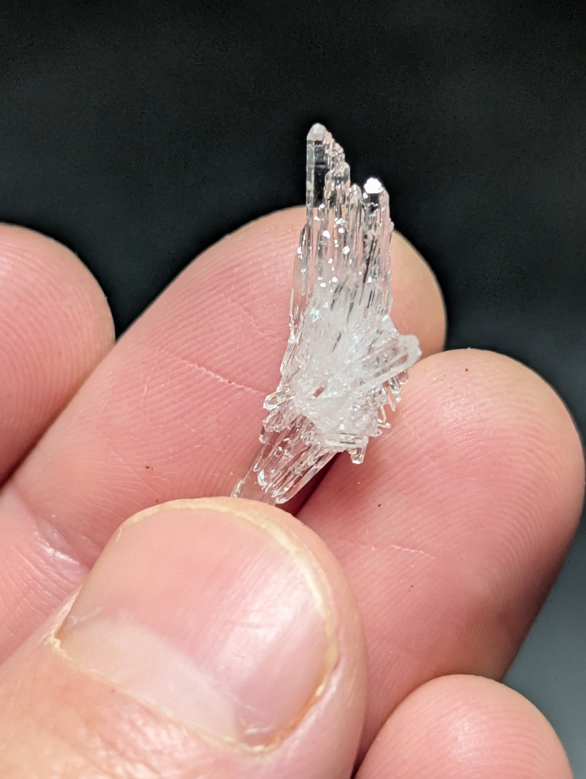 A clear, translucent quartz crystal cluster with sharp, pointed facets and a delicate, branching structure.