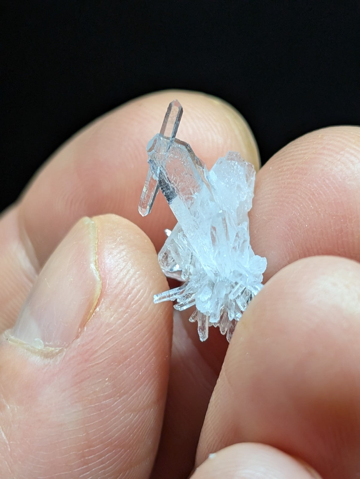 A delicate, translucent blue crystal cluster with sharp, interlocking facets and a natural, organic growth pattern.