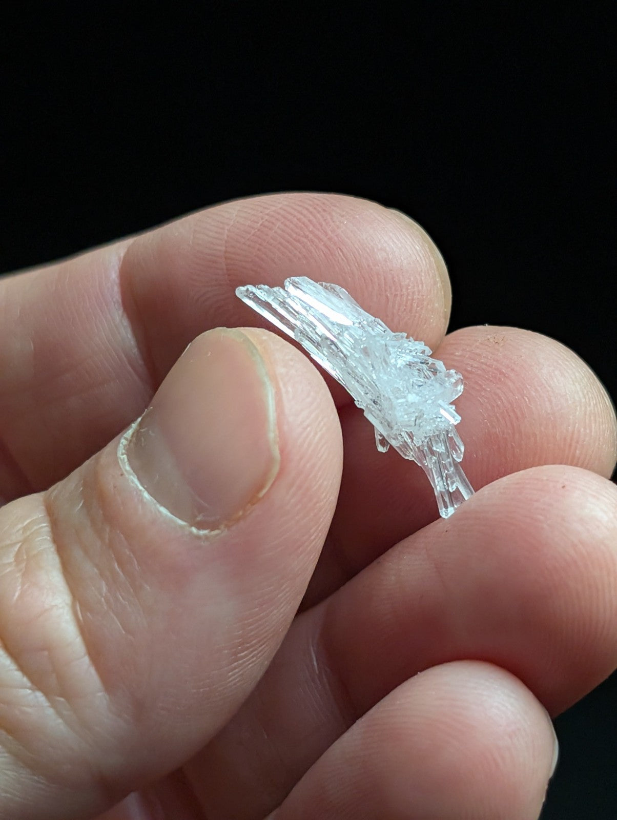 A delicate, translucent crystal wing with intricate facets and a shimmering, clear appearance.