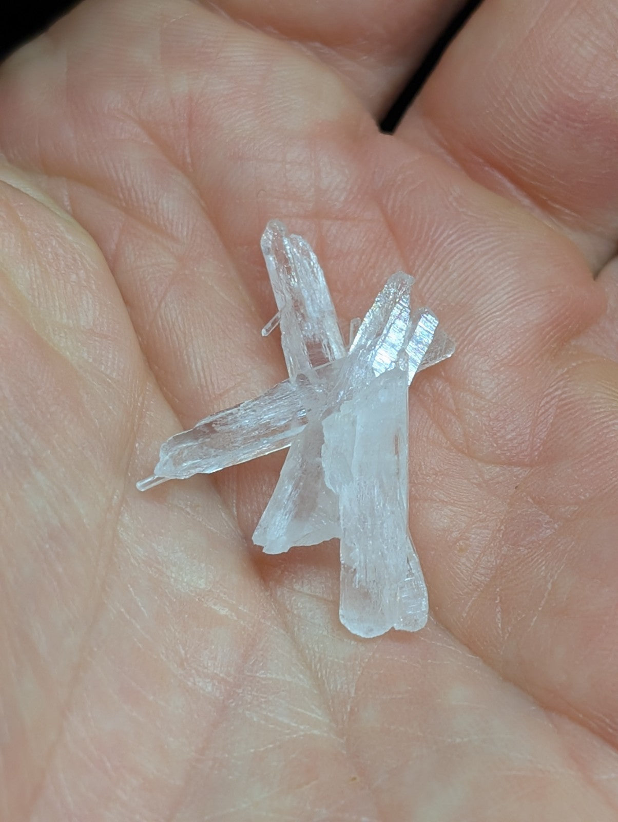 A translucent, crystalline mineral specimen with multiple slender prismatic arms forming a star-like structure.