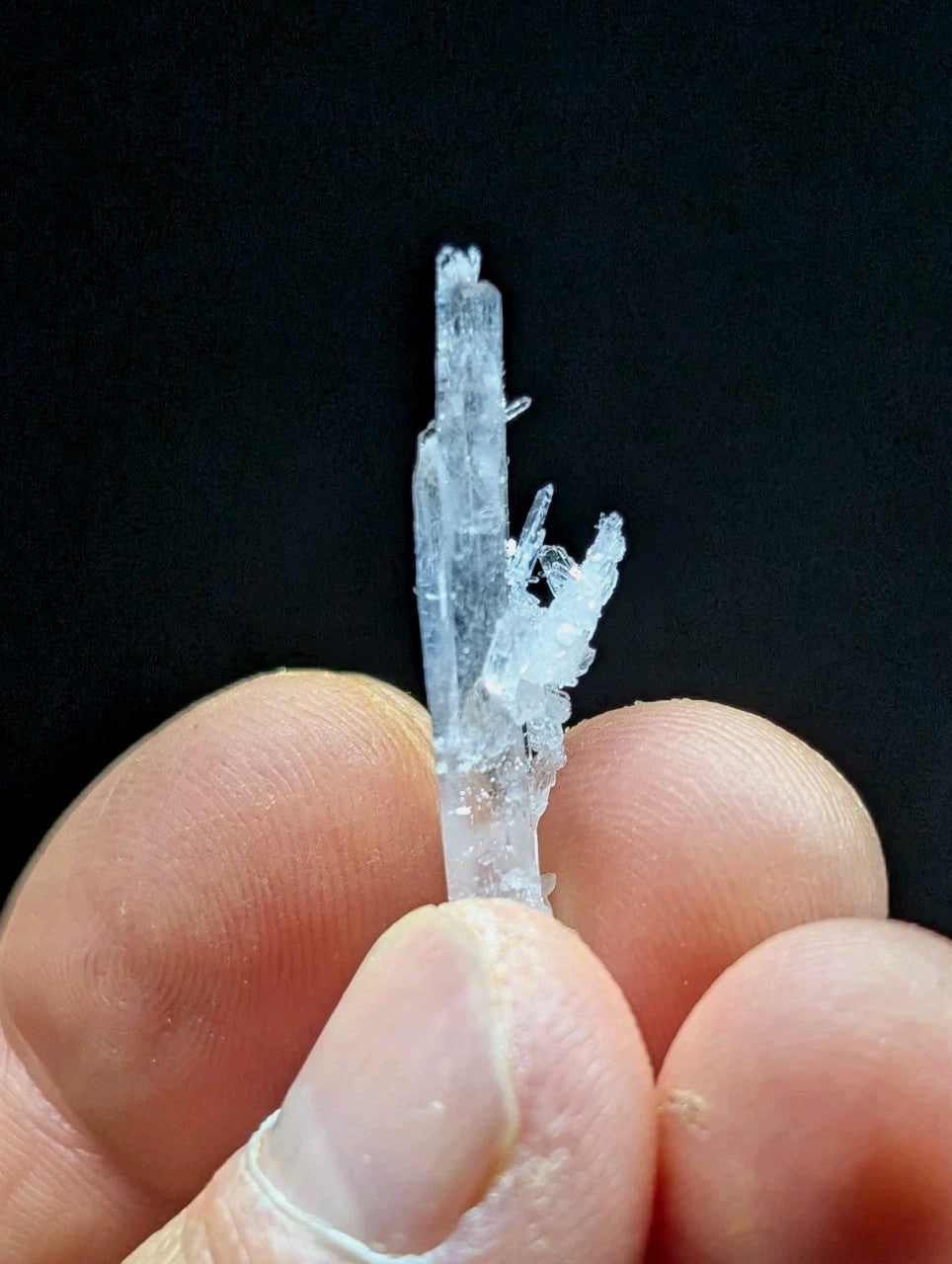 A translucent, crystalline mineral specimen with a clear, glassy appearance and intricate branching formations.
