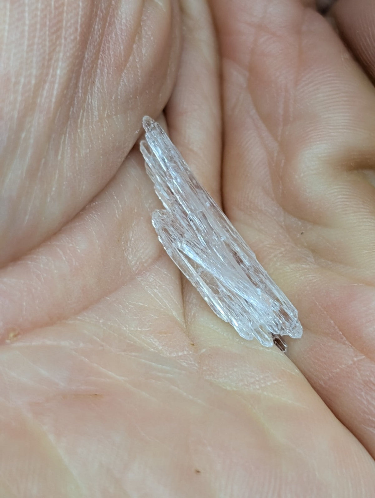 A translucent, clear quartz crystal cluster with sharp, angular facets and a natural, branching formation.