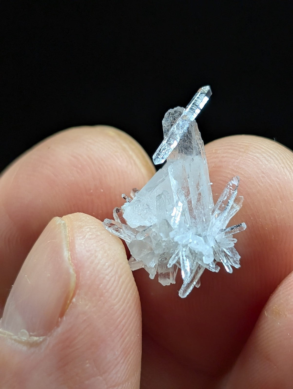 A delicate, translucent quartz crystal cluster with sharp, interlocking facets and a pale blue tint.