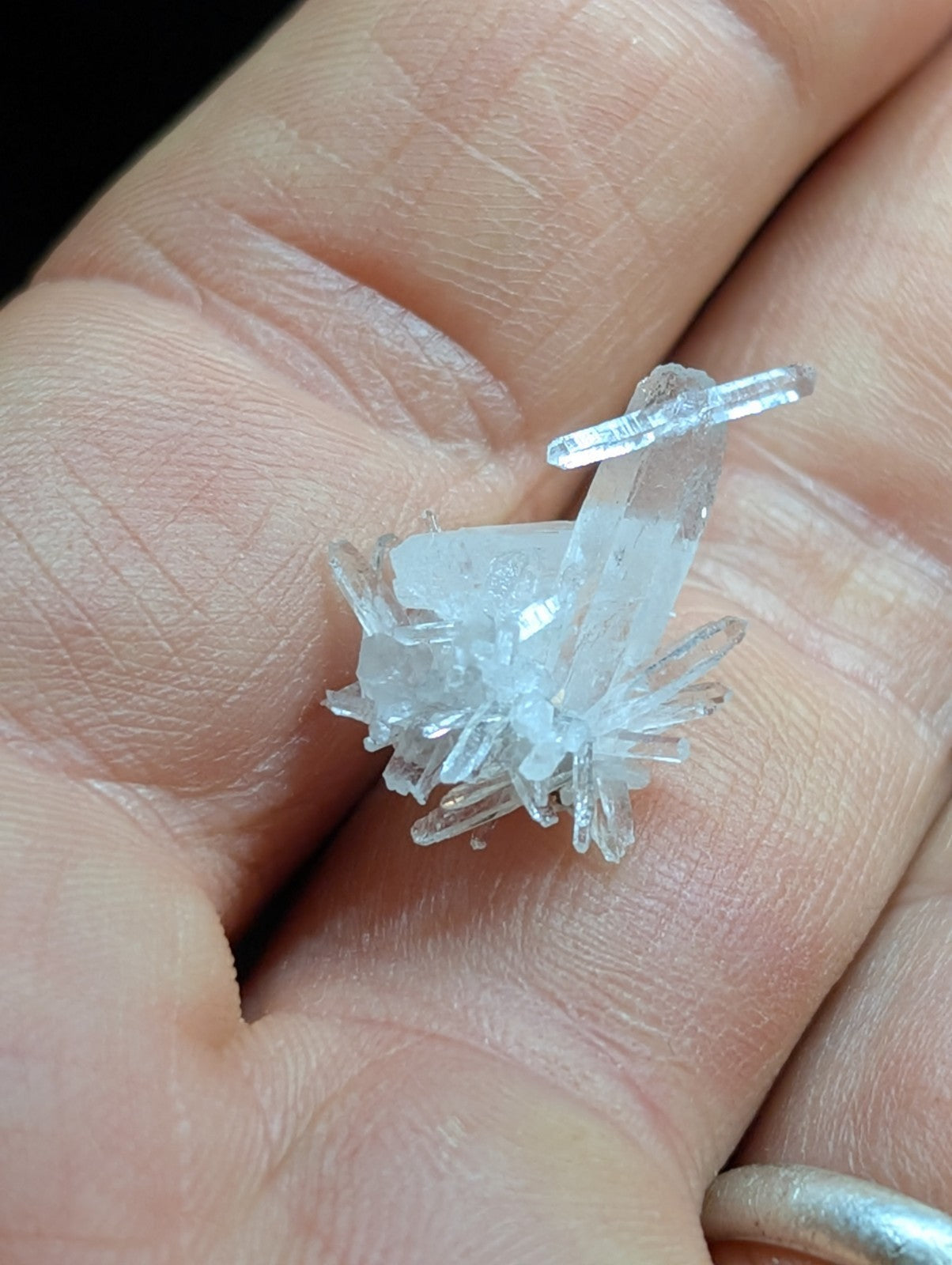 A delicate, translucent quartz crystal cluster with sharp, glassy facets and a pale blue tint.