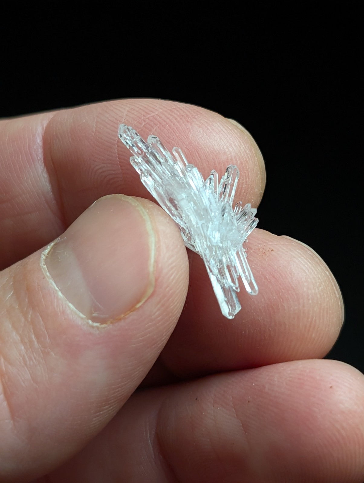A delicate, transparent crystal cluster with sharp, radiating points held gently between fingers.
